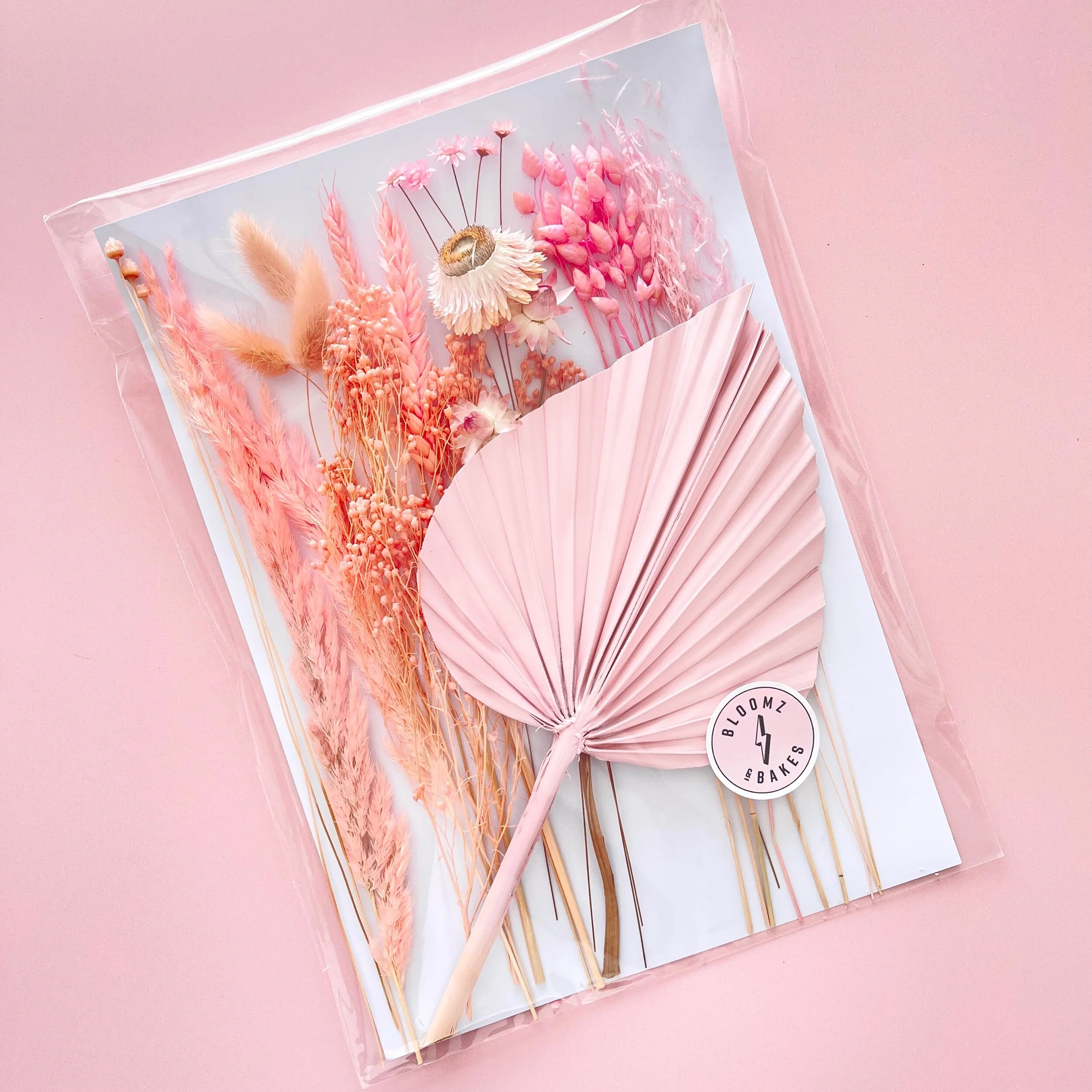 B145DE06-D2D8-4B36-924D-9B9D12E7CF7D