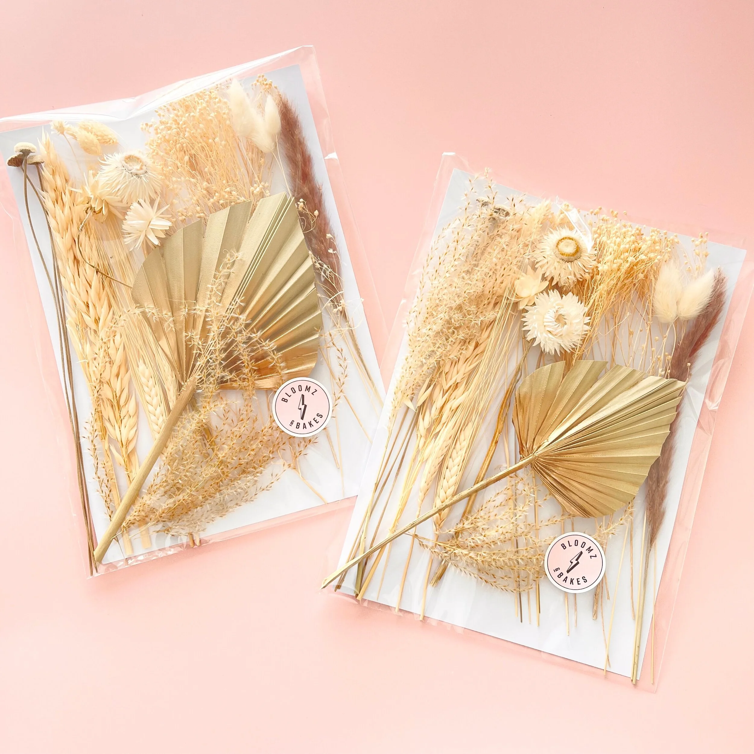 788F536C-7B93-4A6F-9670-00CF1067CBB1