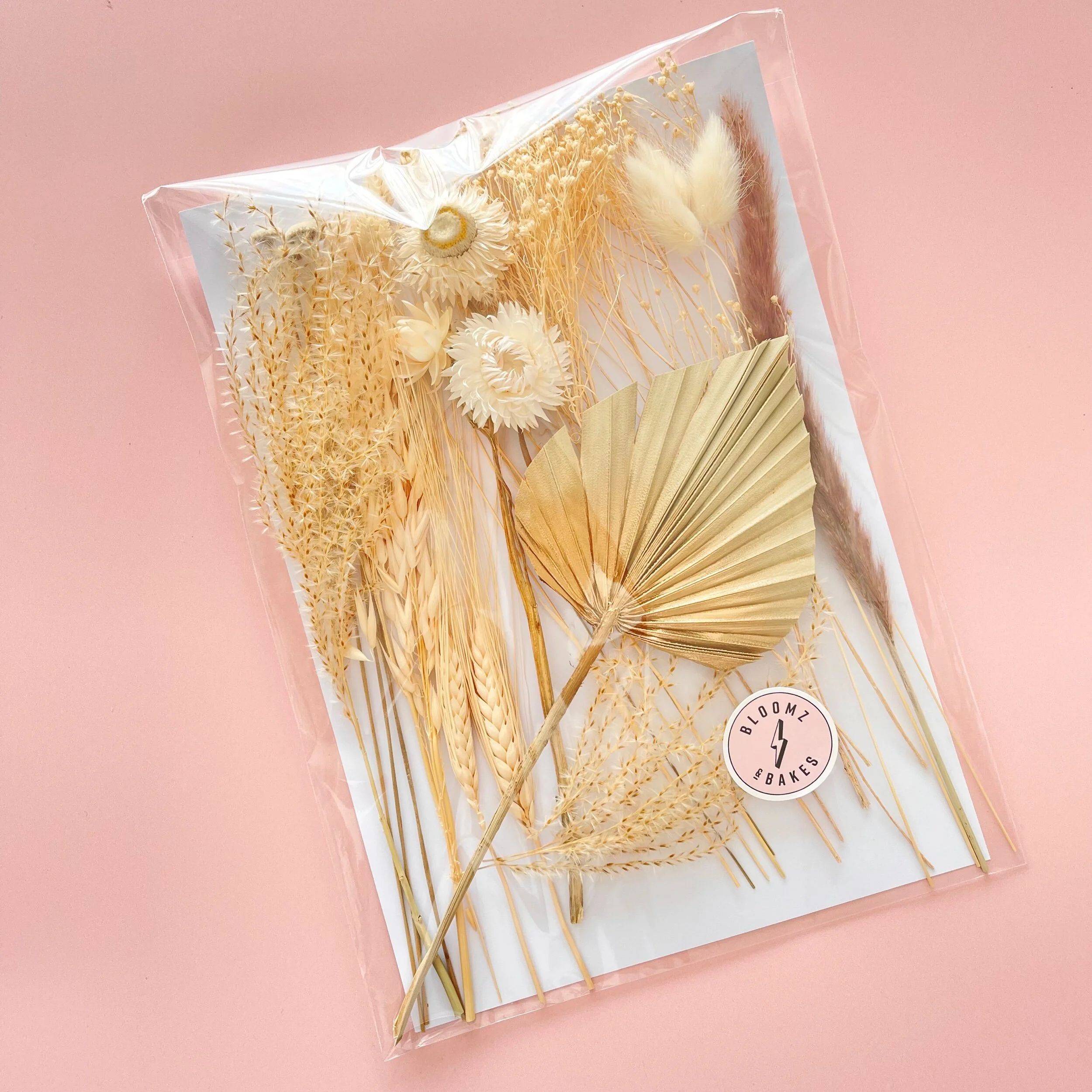 219473C8-6120-48AB-88F7-B7D9A3D41B49