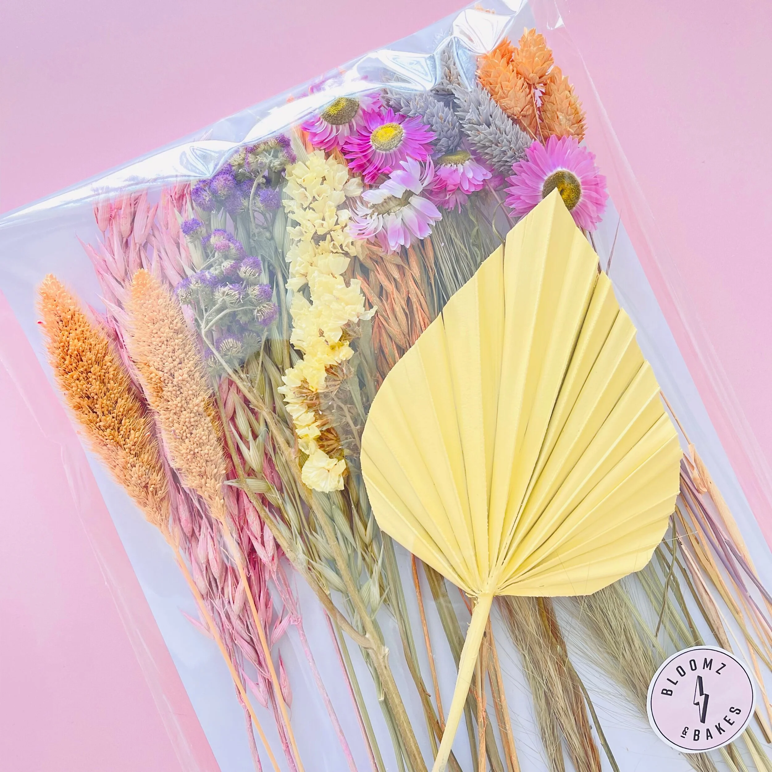 4A1D708D-9509-46A9-8F43-1B95A91811FB