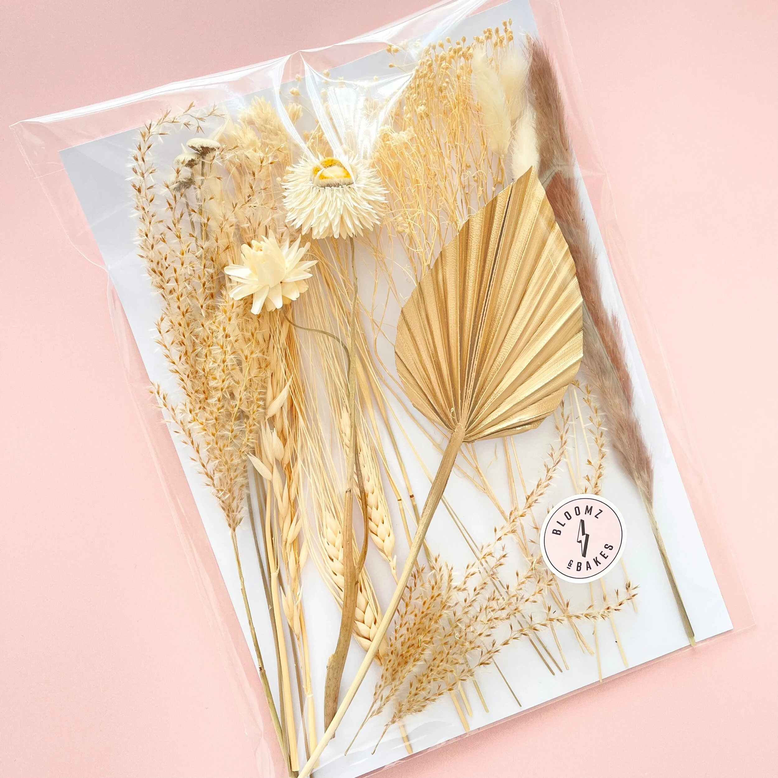 0A20EBD3-7062-4A50-BCB6-8BB8F7A0900A