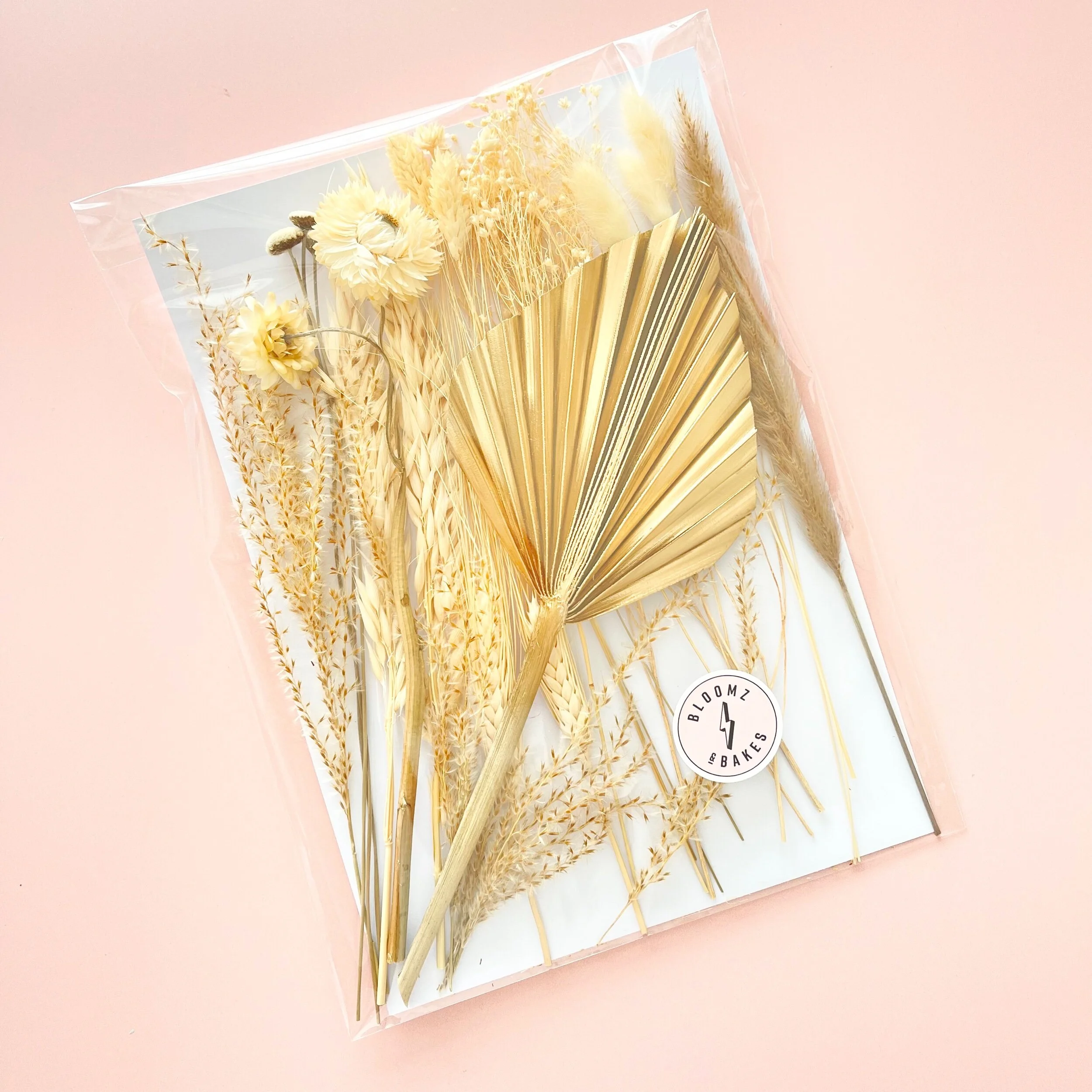 3FADC6B6-1168-4471-B7CA-298AD94D1B41