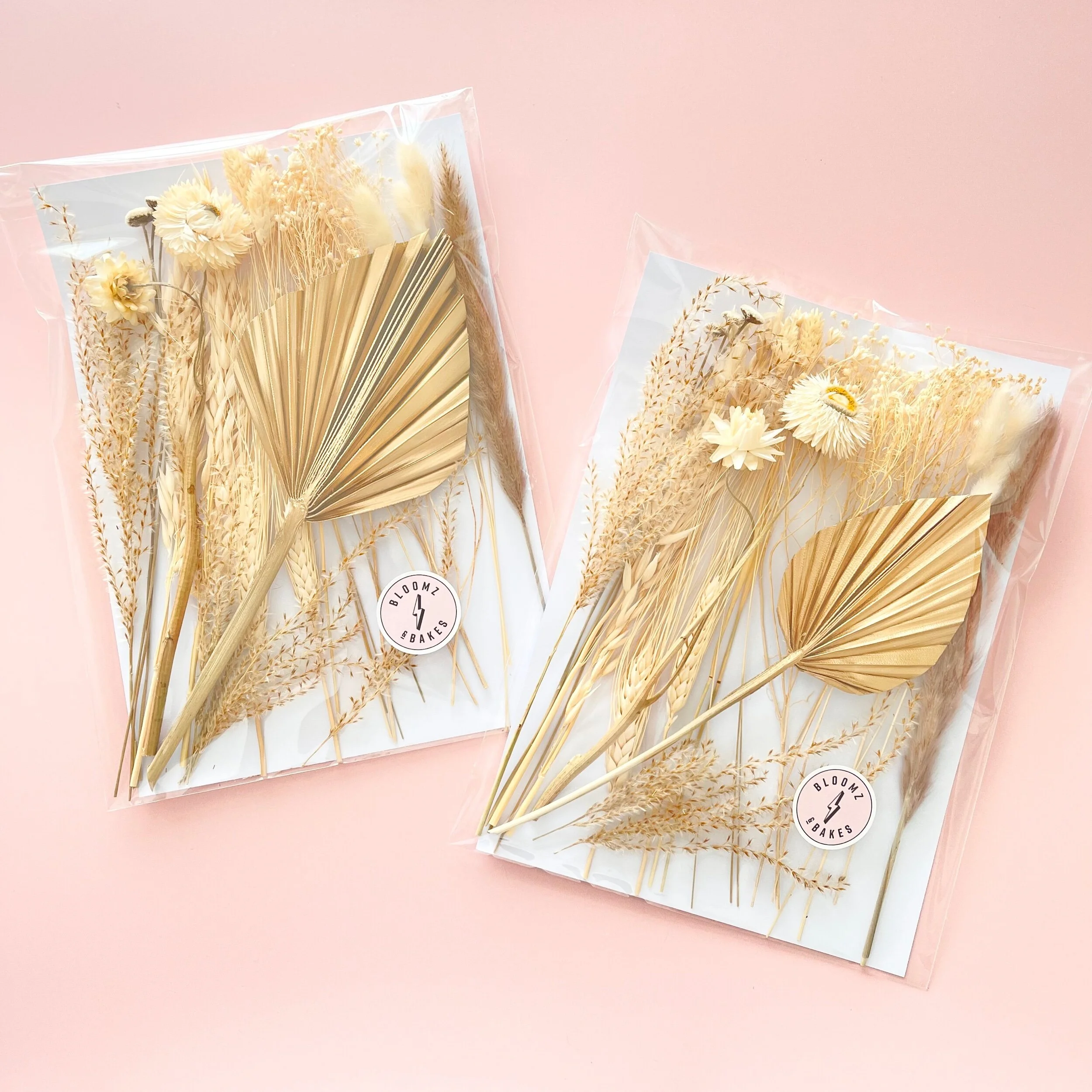 66948569-19F1-41CB-91DC-2ECF4D73D8DF