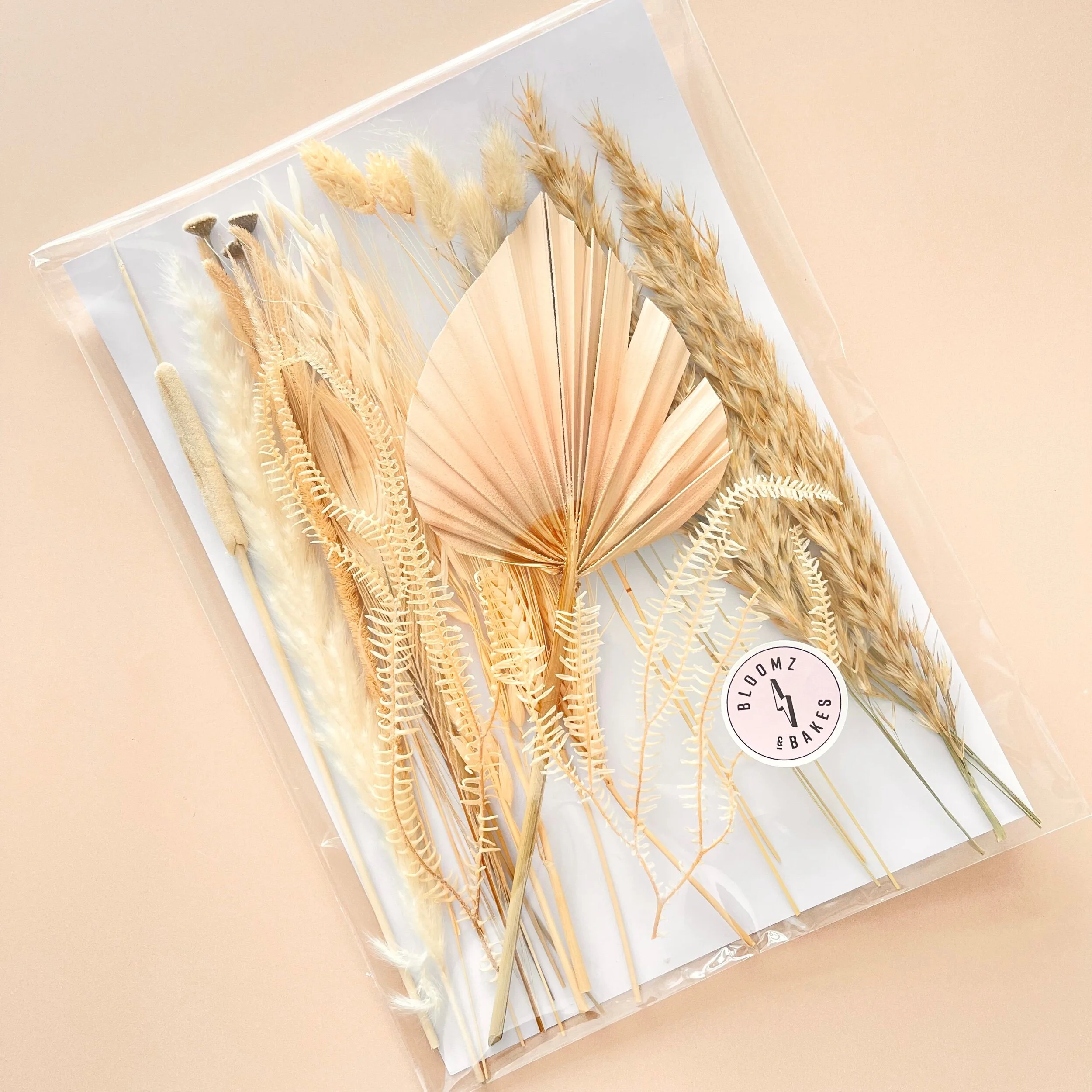 BA44CE64-F9CE-4A3D-BD3F-FEB91D548419