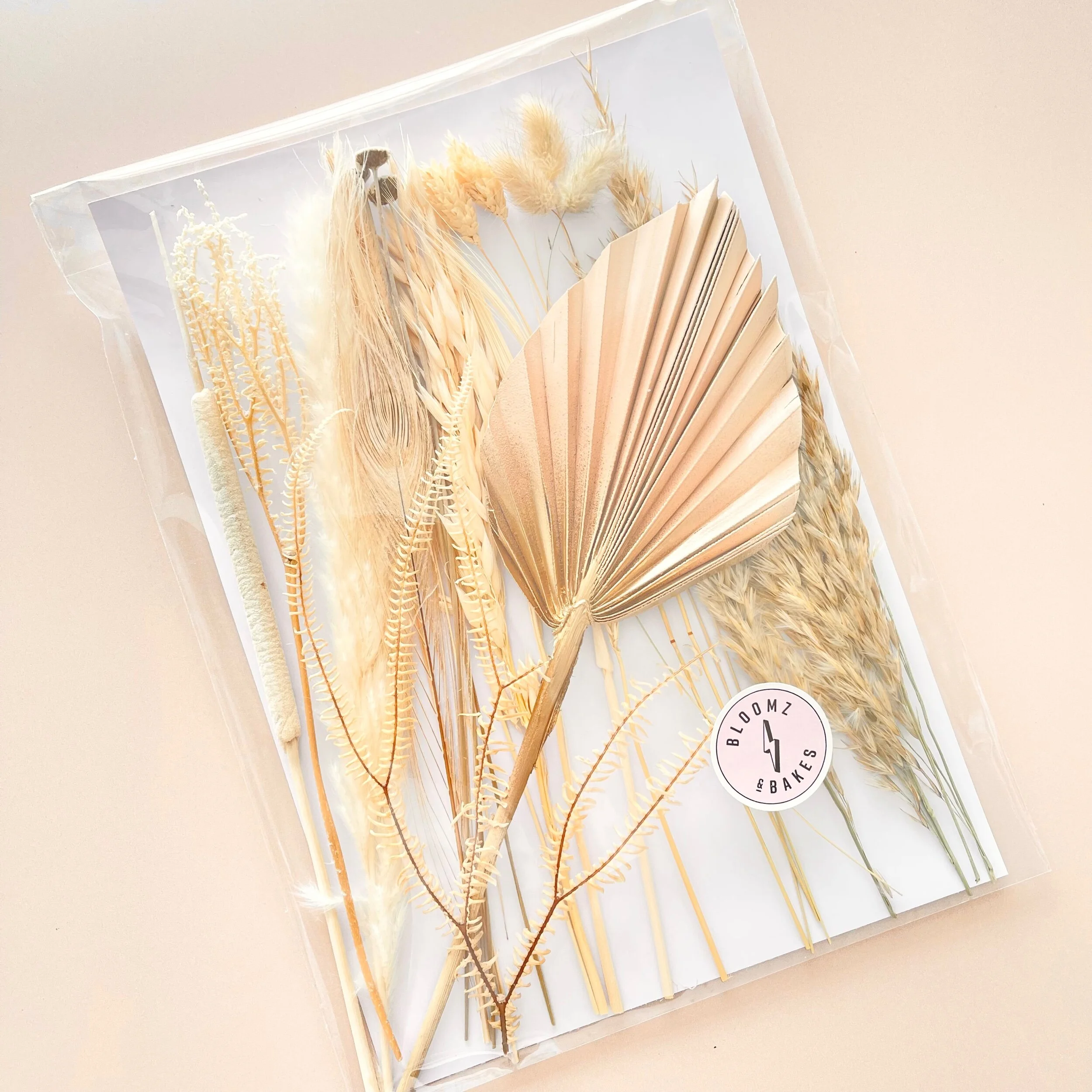 567900EE-ACA5-4DFA-A6C1-77F9B7673864