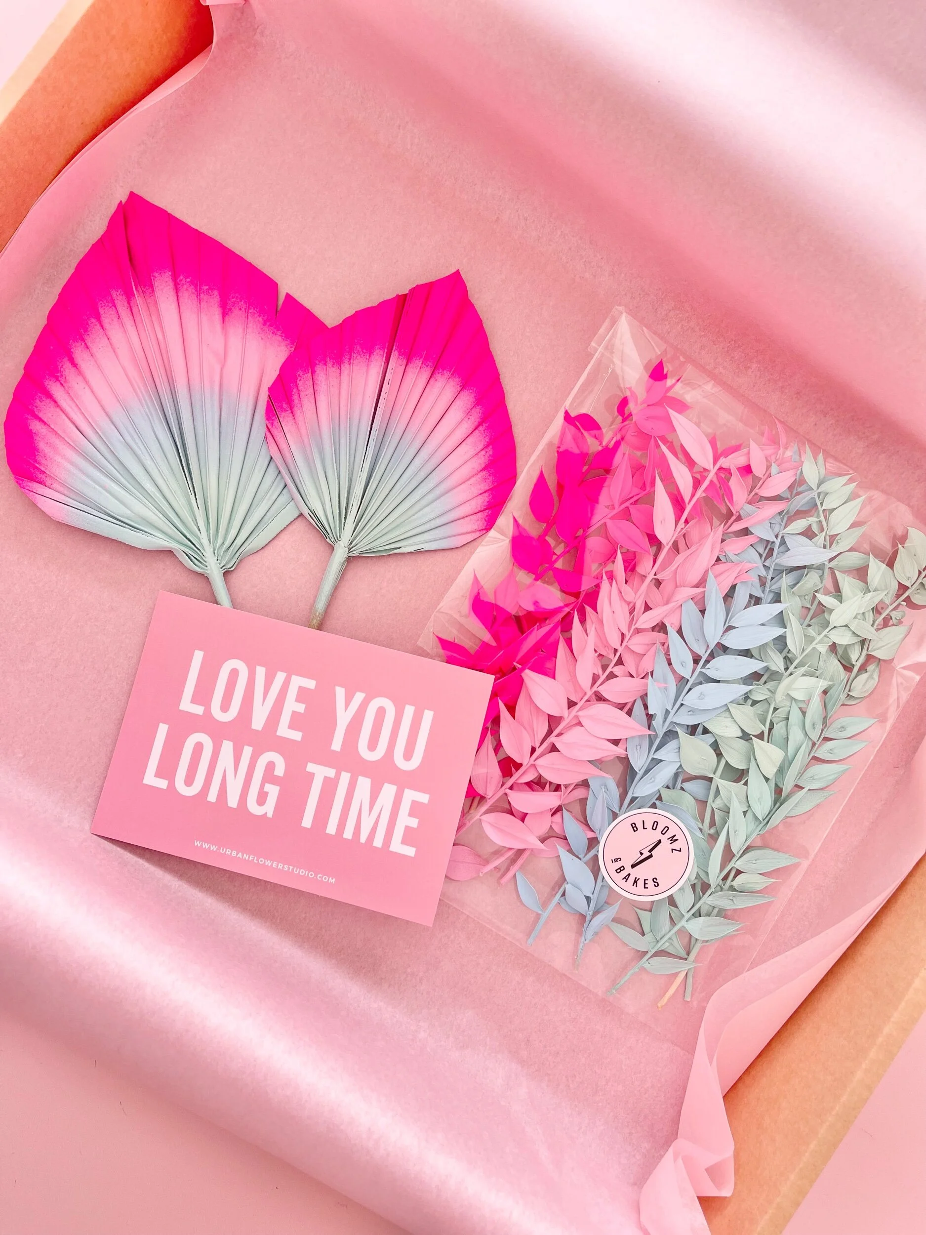 92EB2F26-40C2-44B7-A50E-3DE1257330A6