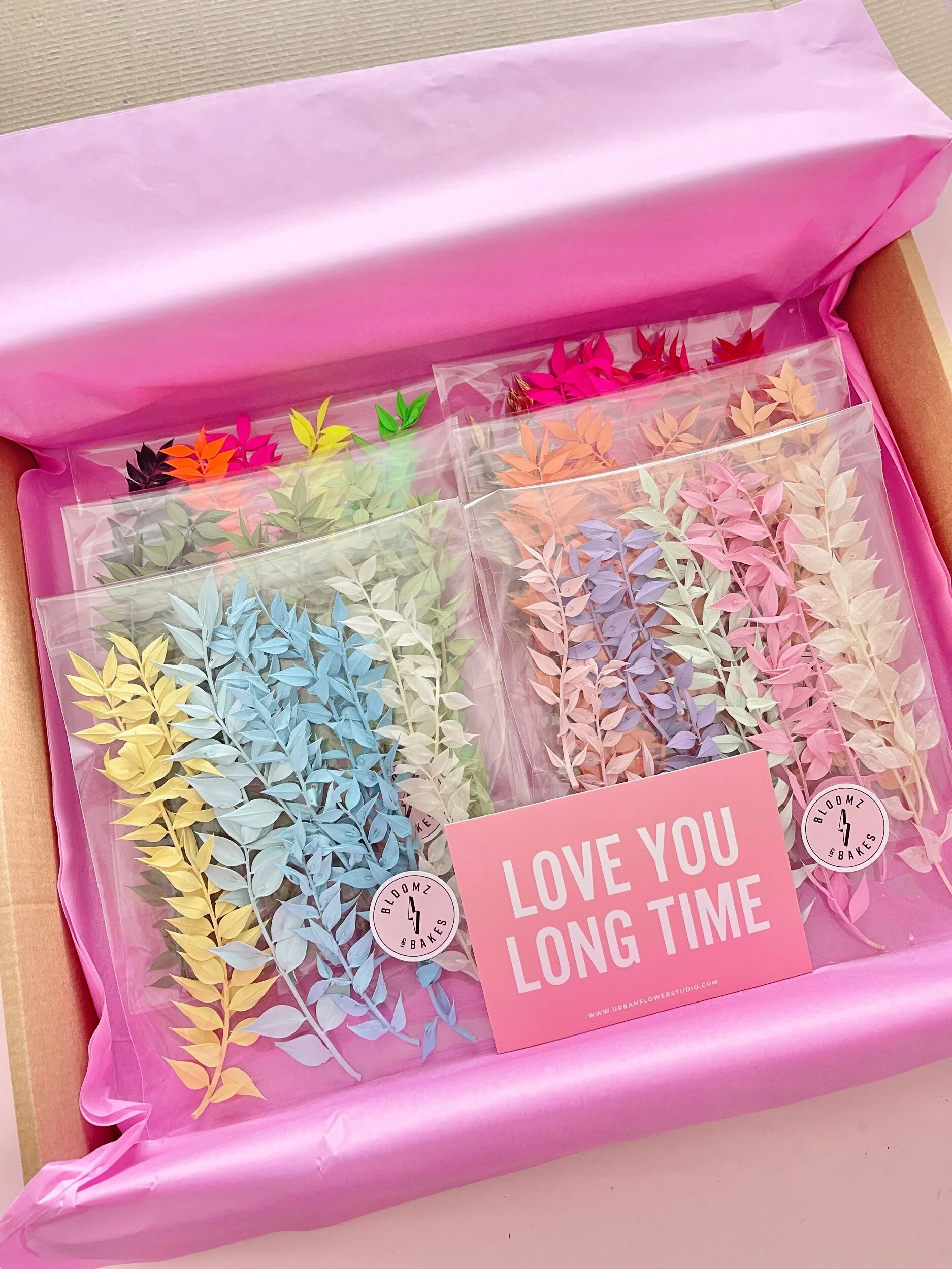 F1387E2D-C579-49F1-A7EC-386A2D024774