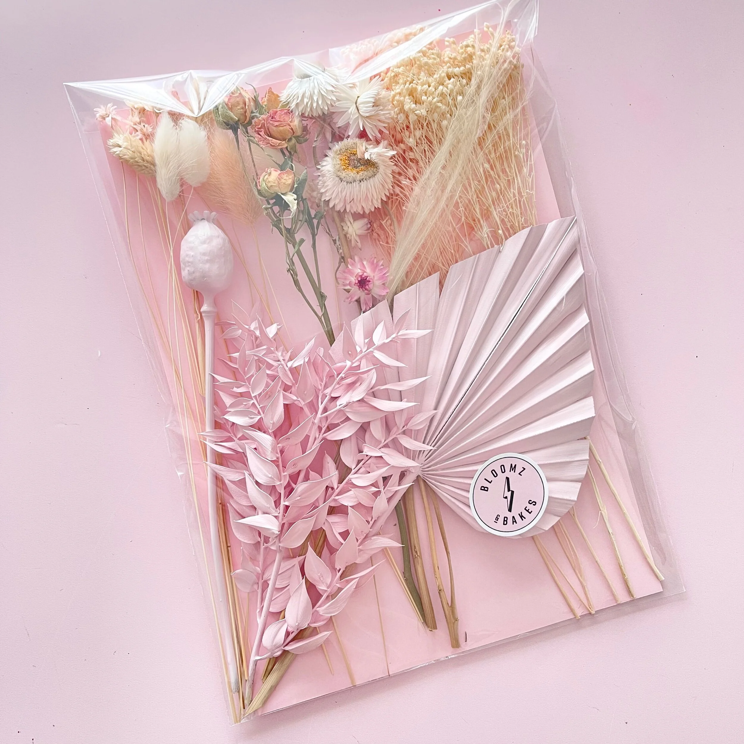 01F48769-C95B-46F3-B9D0-5BB087957016