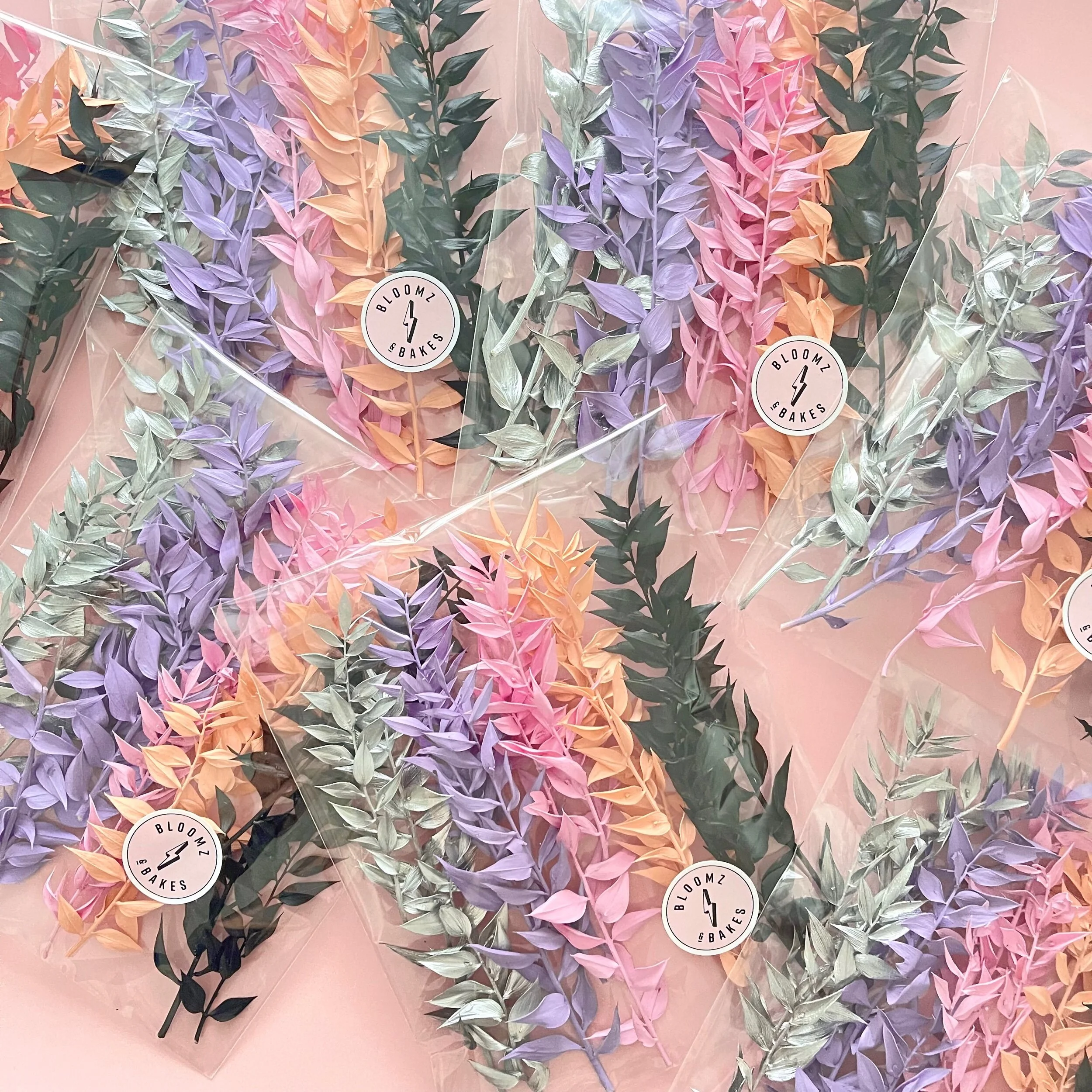 8A526D5B-DCA3-4BD3-82E4-B66A2847C72C