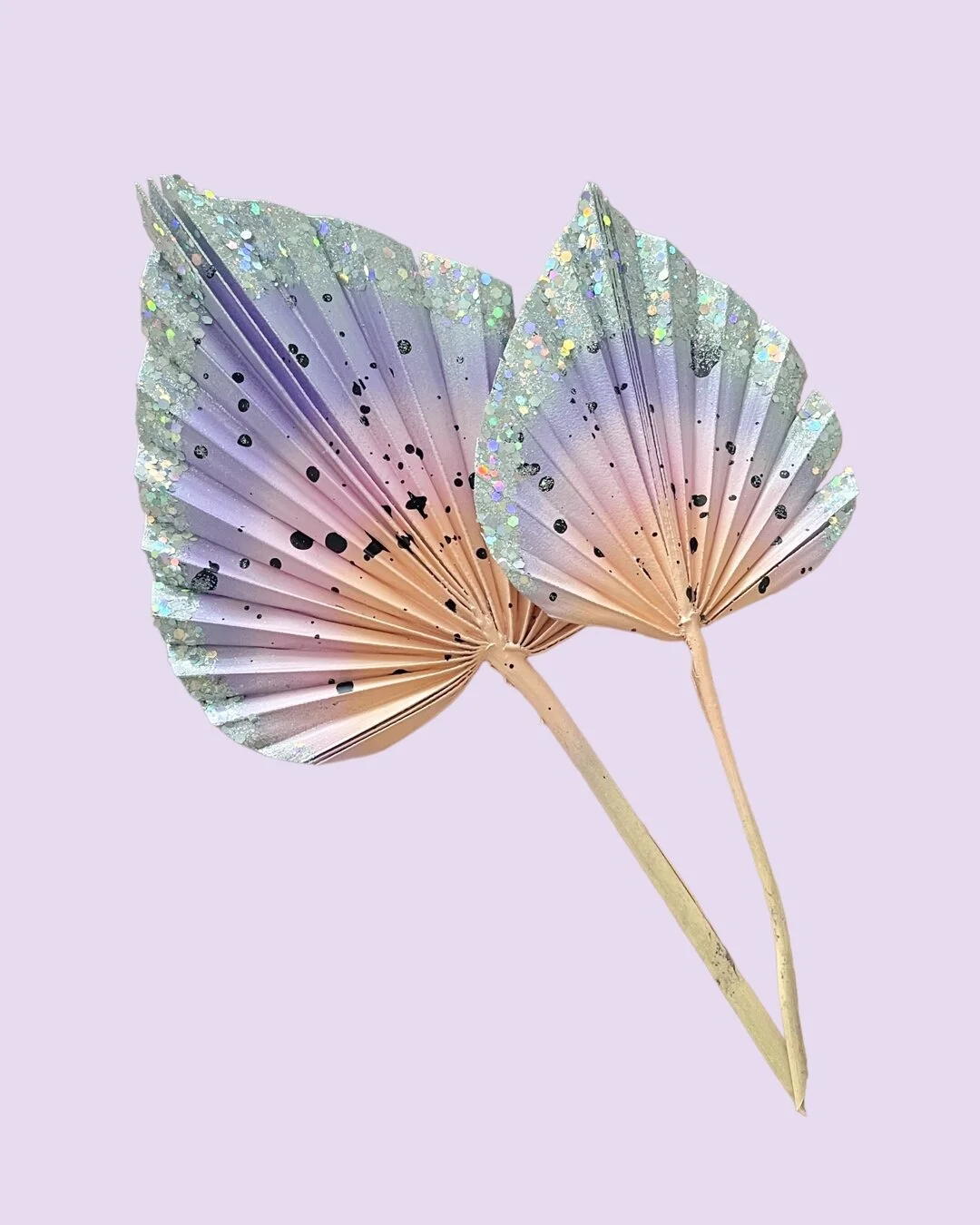 4ECCF24C-FD47-4CB3-96EF-1564B452ACC4