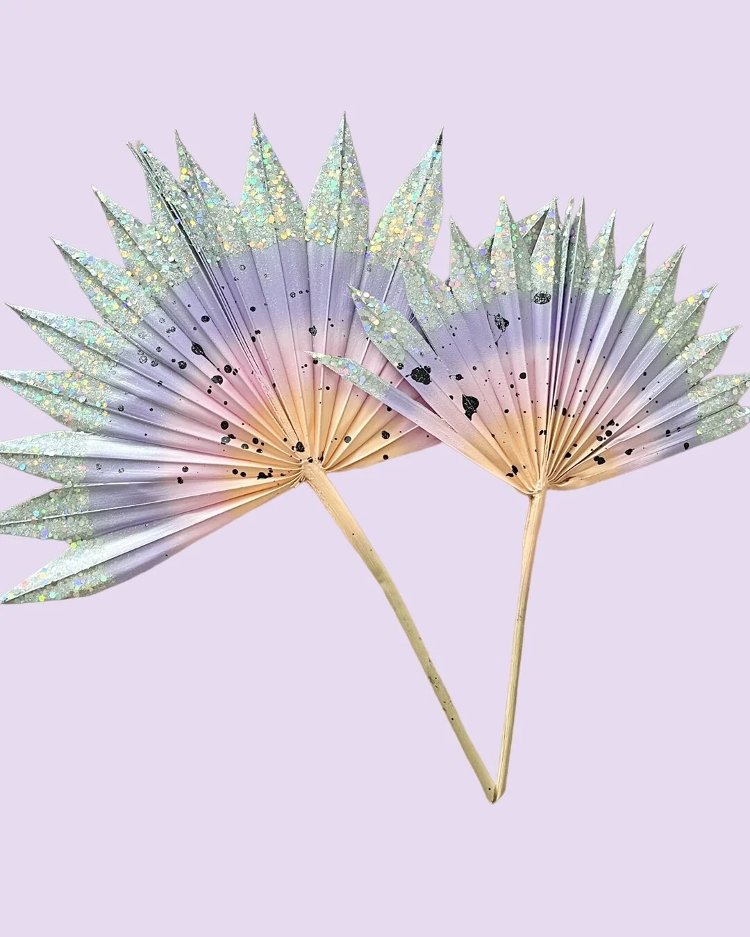 E8FB5294-844A-45B7-B943-D002EC4B1512