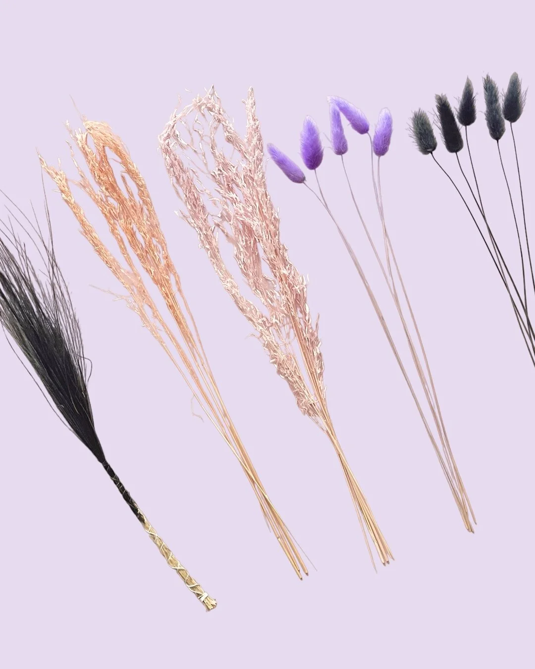 01E80301-2B0C-4214-B3A4-67F25BB5FDC4