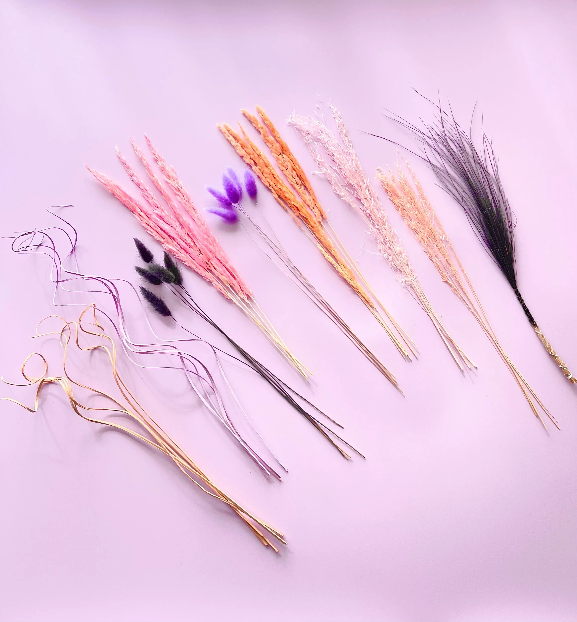 54F0F928-910F-4F6B-9B84-0D52B7CAE671