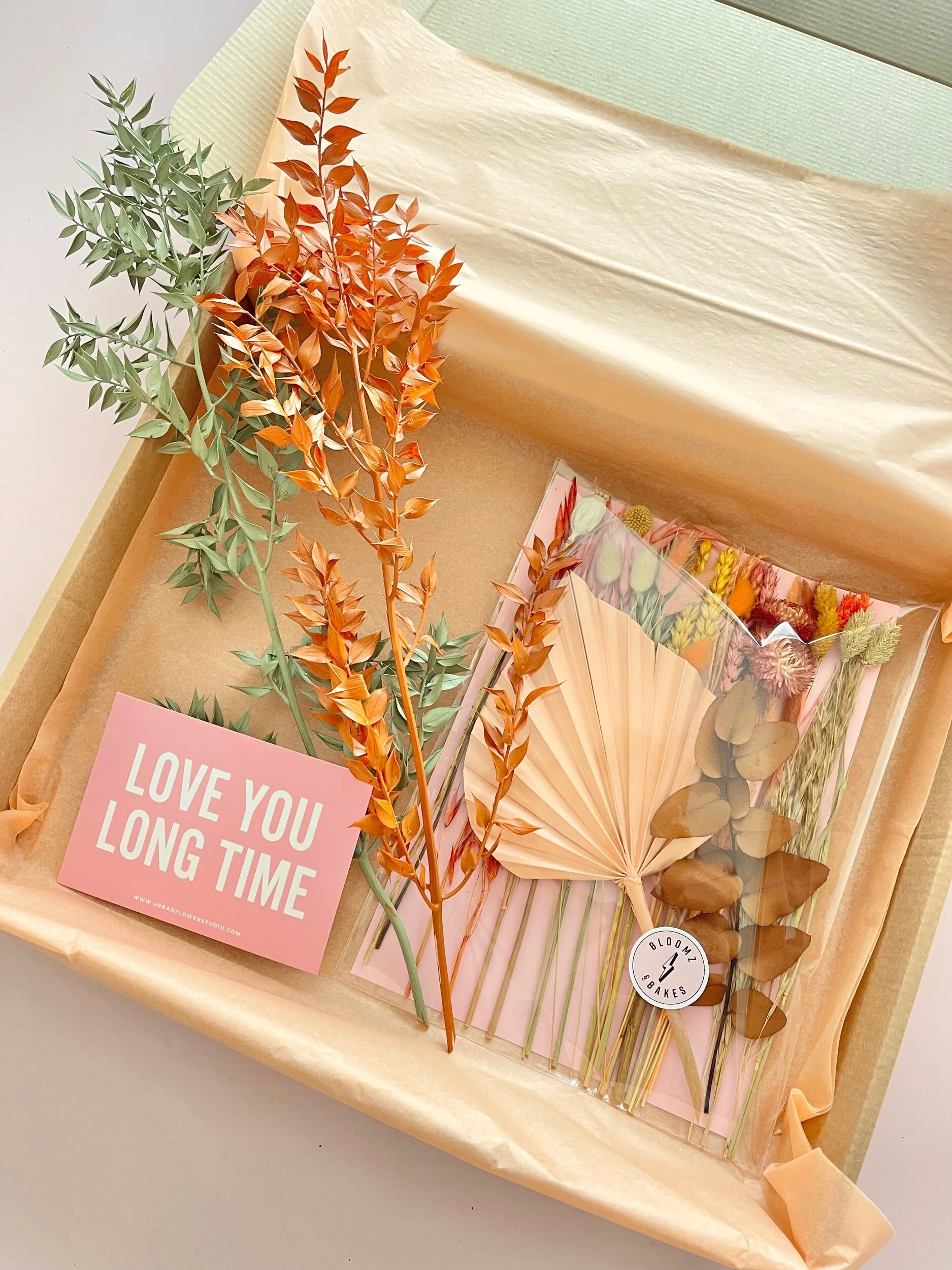 5D4BEFA0-14C7-4106-9D3E-DDF3DDA24815