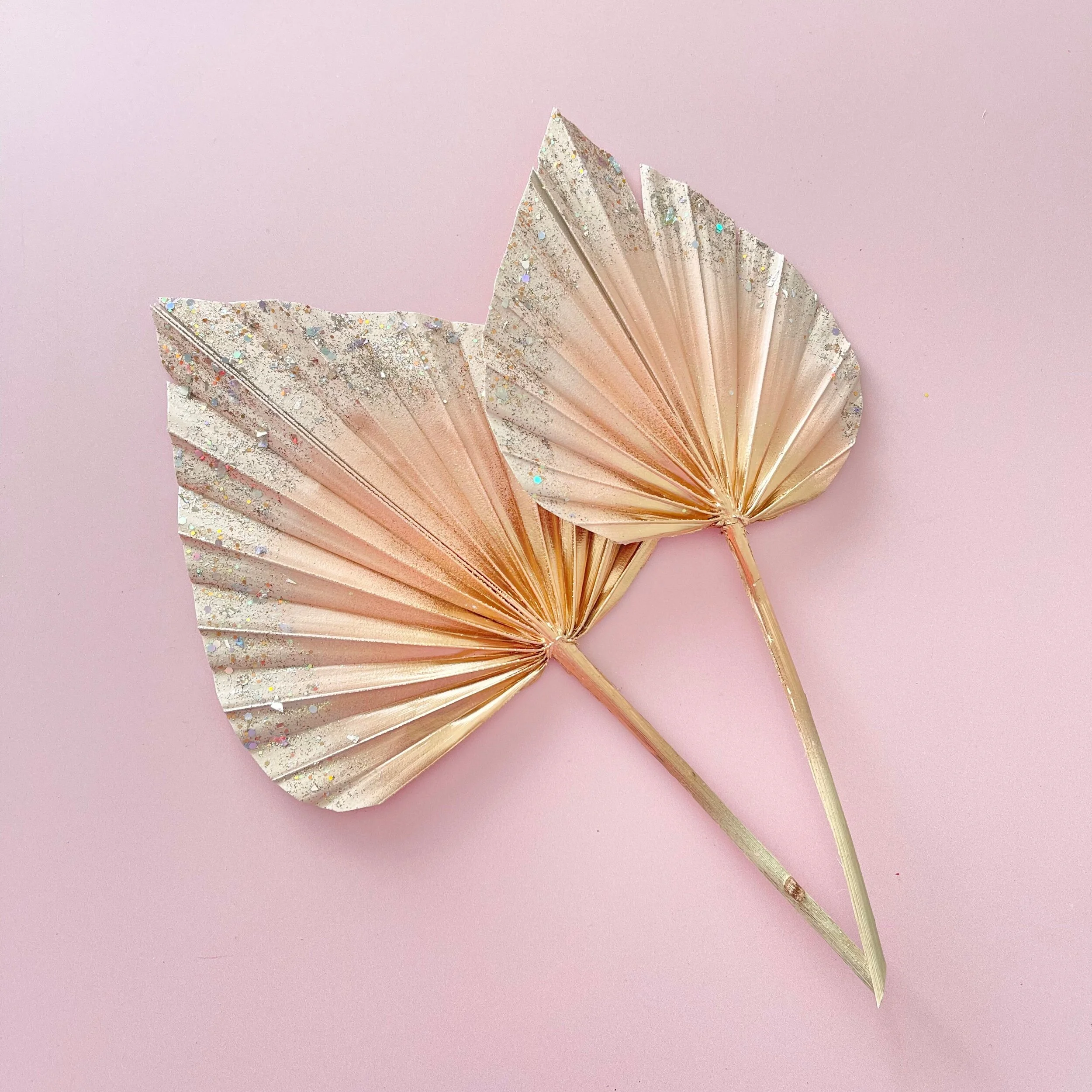 916F1895-AD7E-4C4D-99FA-40E9A9C89520