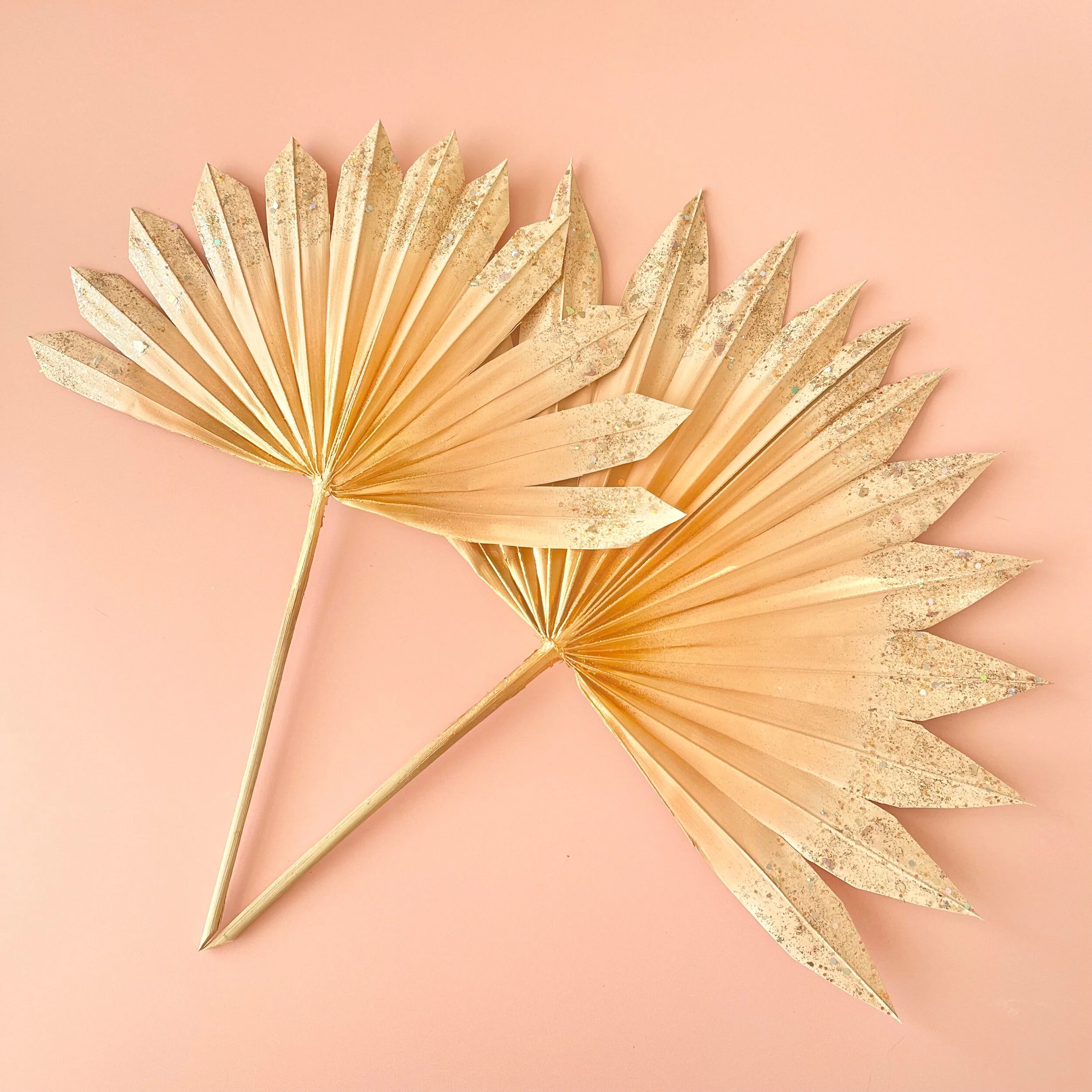 E000460F-AC85-4FBA-8890-82C5BF906116