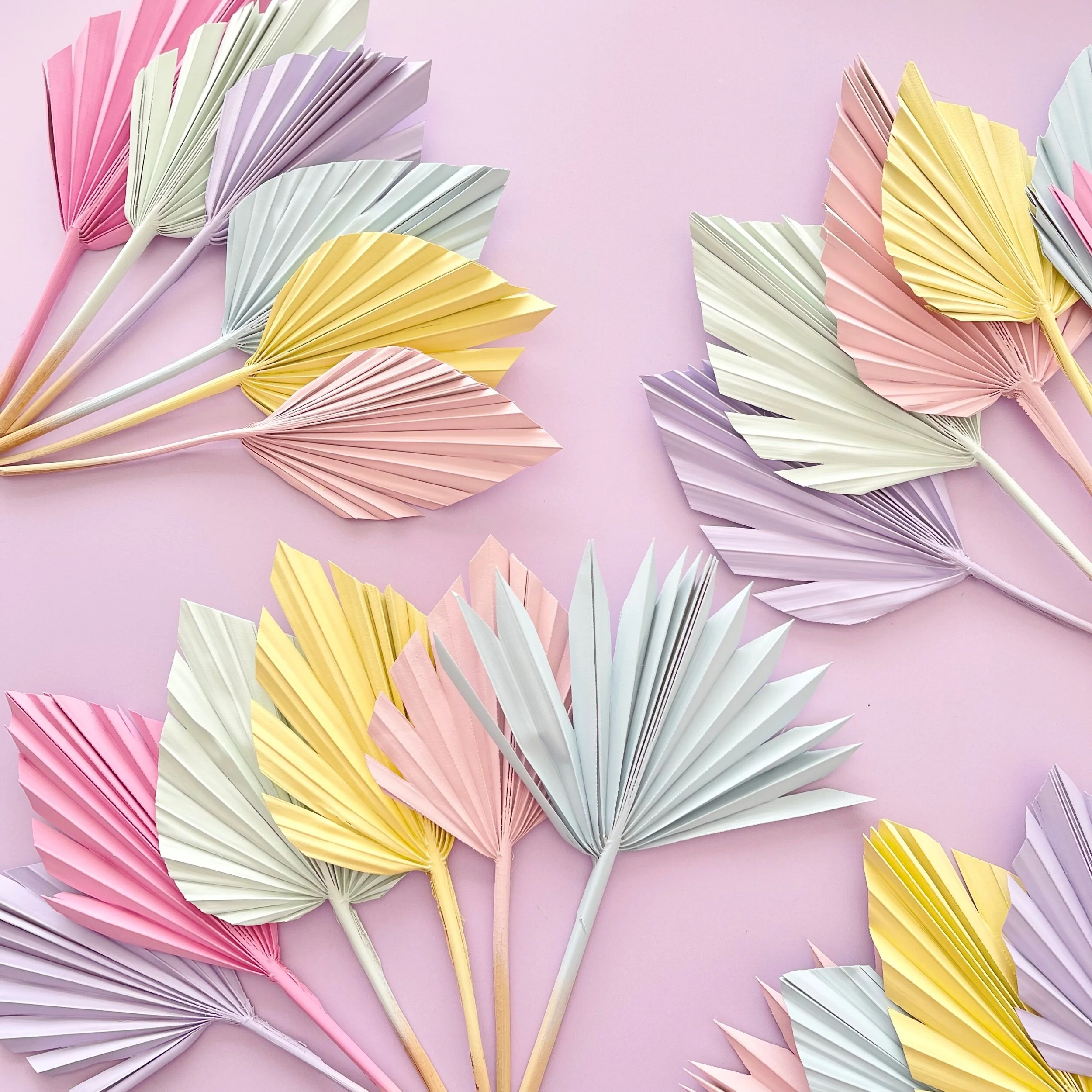 D9F9DD02-243E-43A8-B693-3B6559A704E3