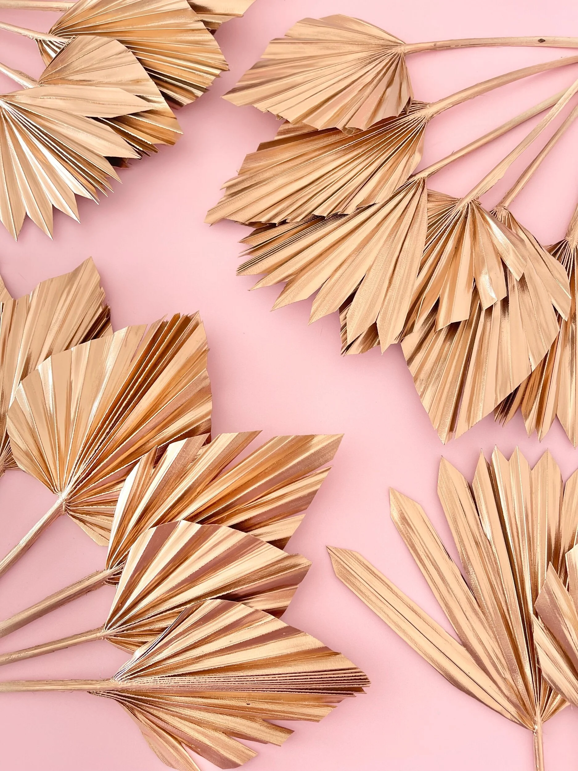 E3E804BC-321B-4CF0-AF68-686B6603AAFF