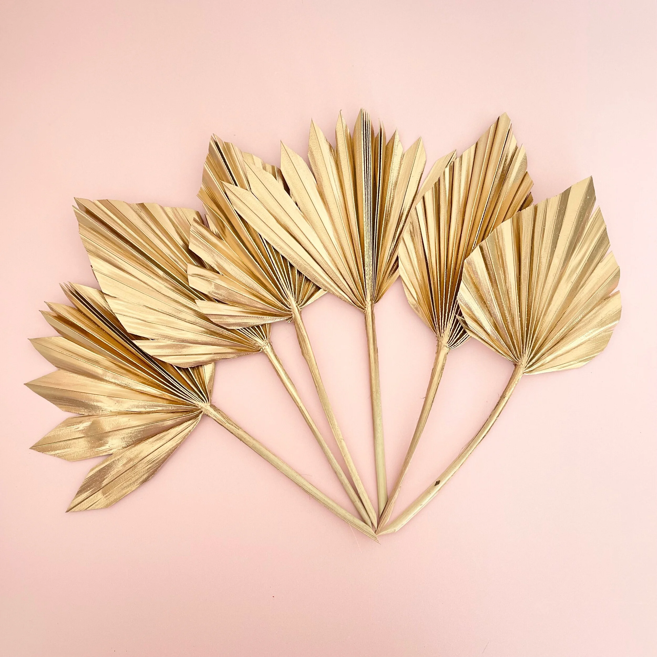 1055760F-968B-4C66-9545-4497D4EAF224