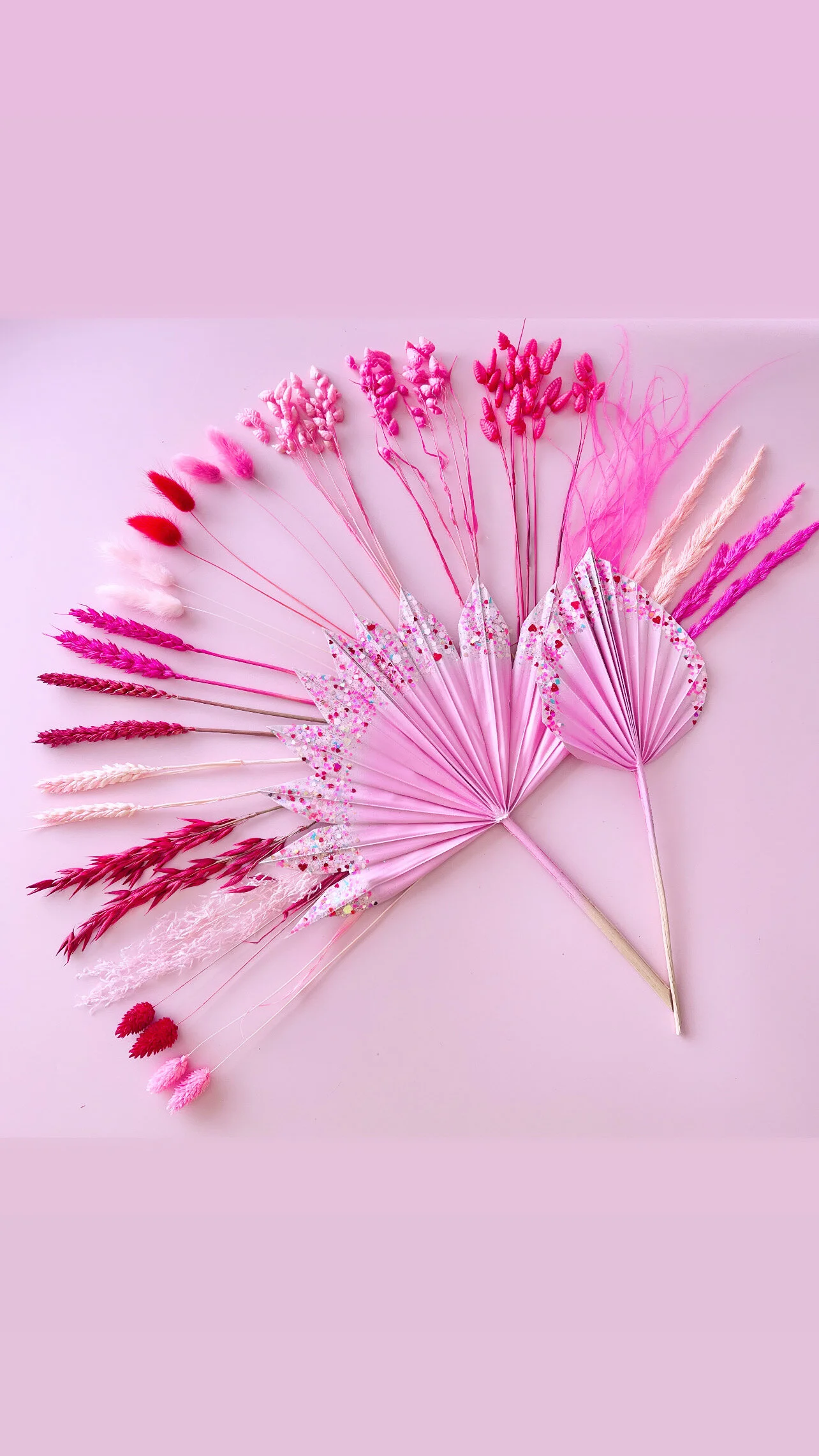 9F7FC04A-1013-4BAF-B6F5-E6A21A042E8E