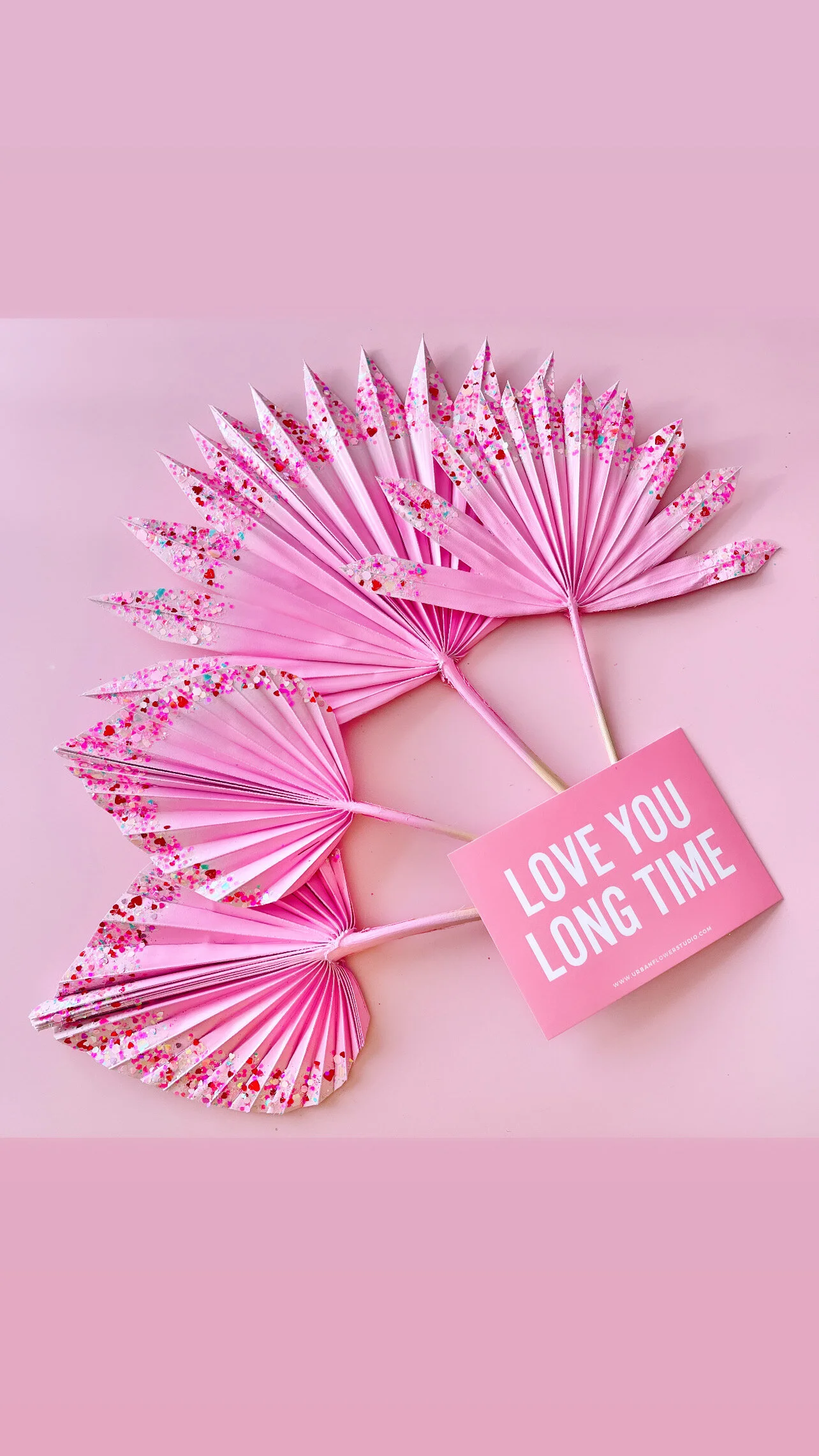 AB03AB3E-0673-4AF0-B753-D971A9F6346B