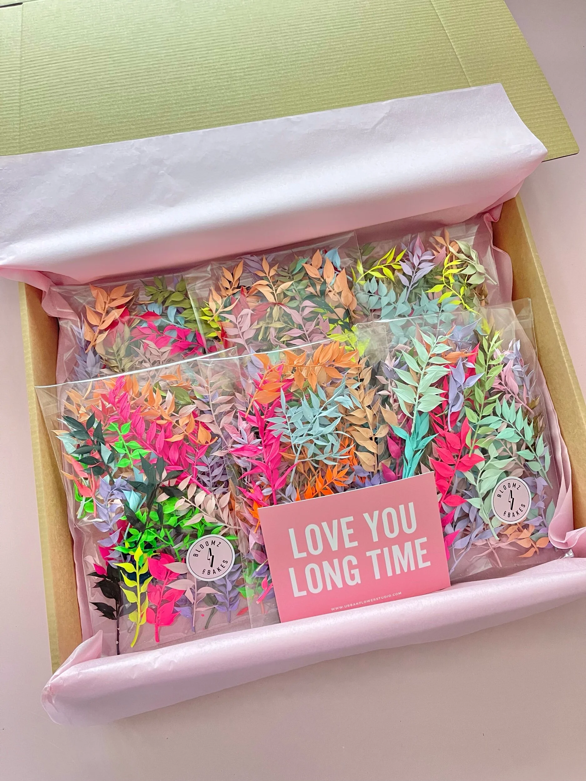 E9CE57D3-3CE4-4A66-874D-5B6D95F98B2B