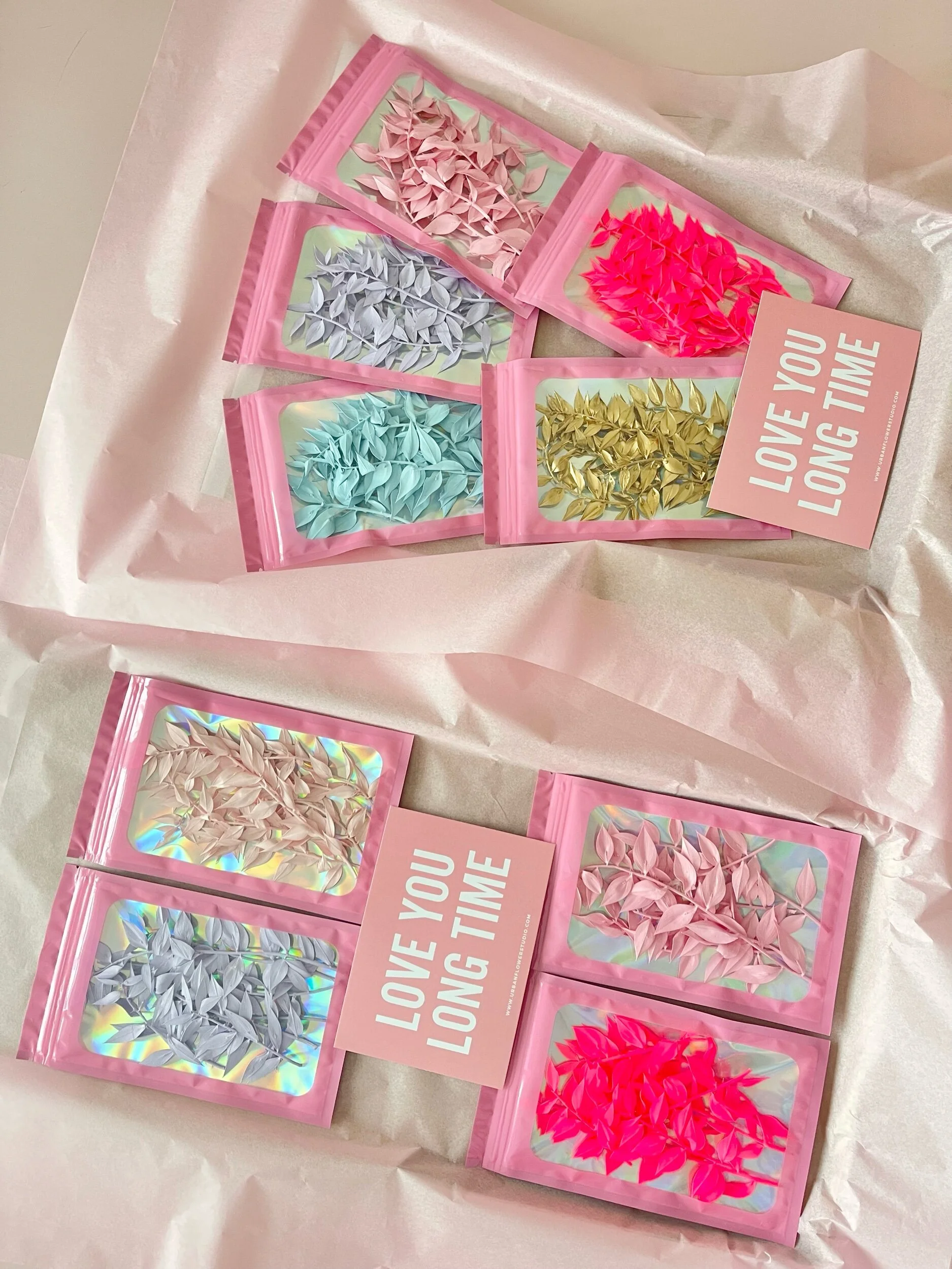 18B59C0C-7E65-46B9-BA80-1B27324AAB10