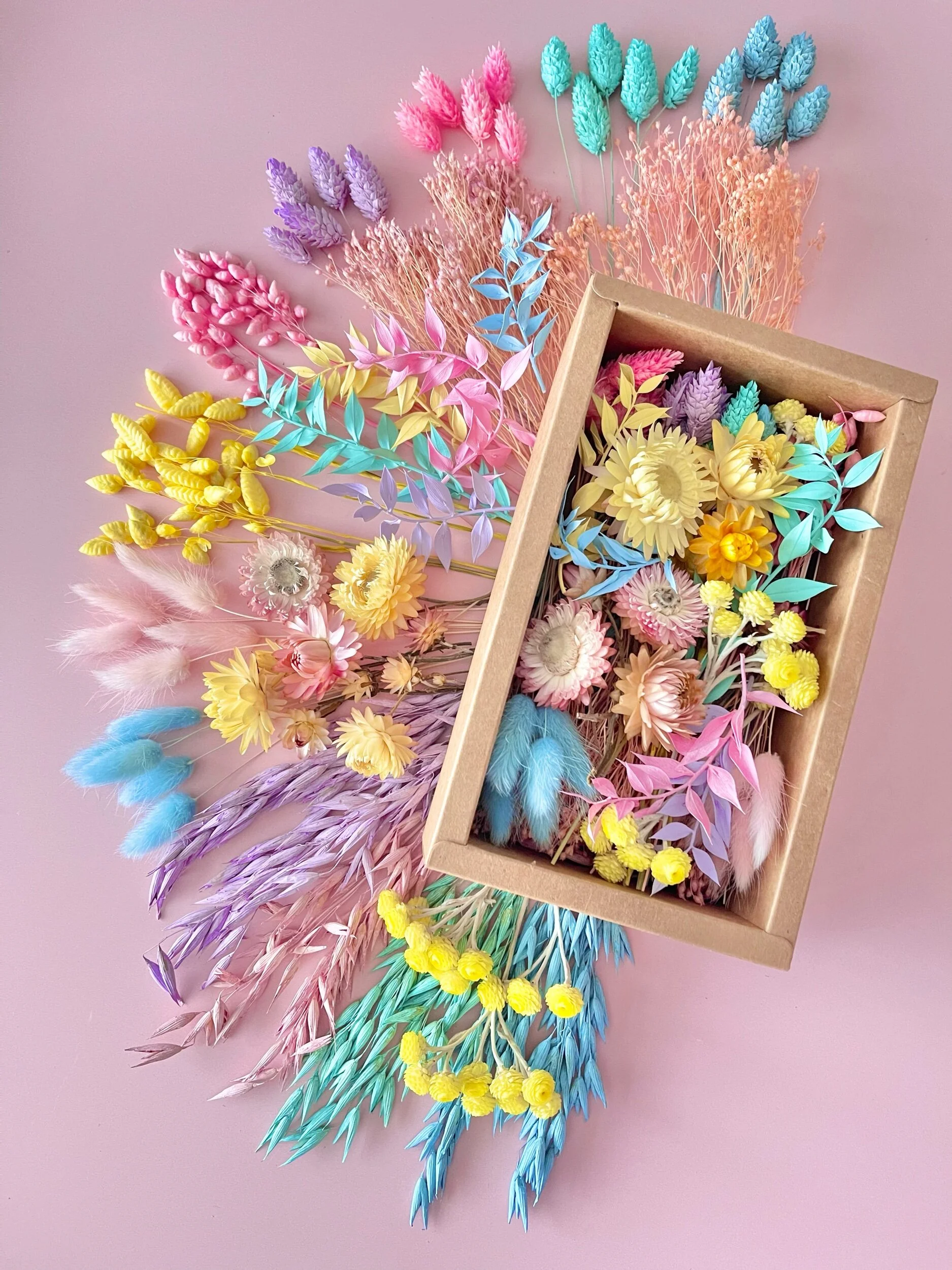 42D3E8D8-18B2-49A2-BA0D-A17789E63625