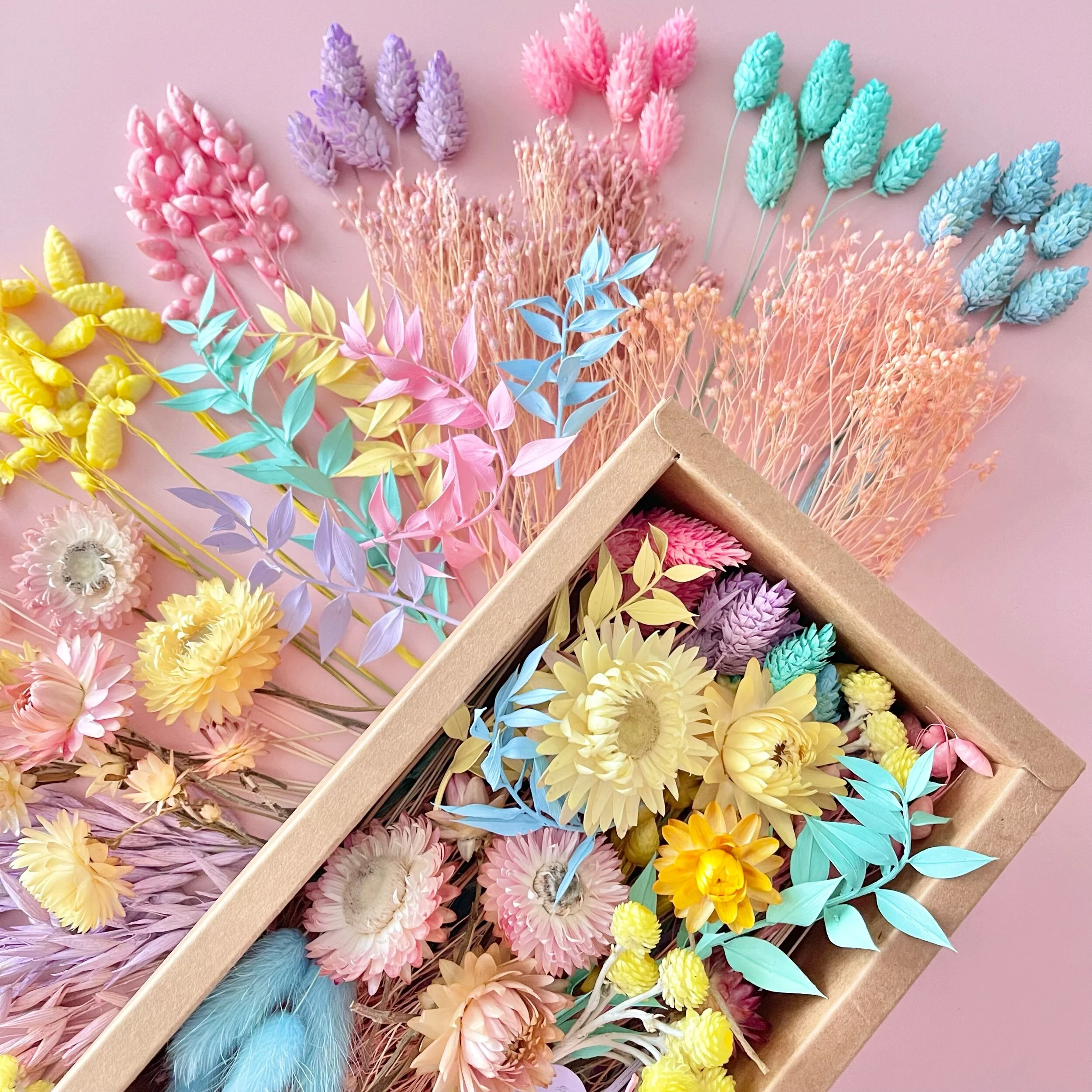 228CF643-9A00-4A7E-94A0-2BD4E6A365BE