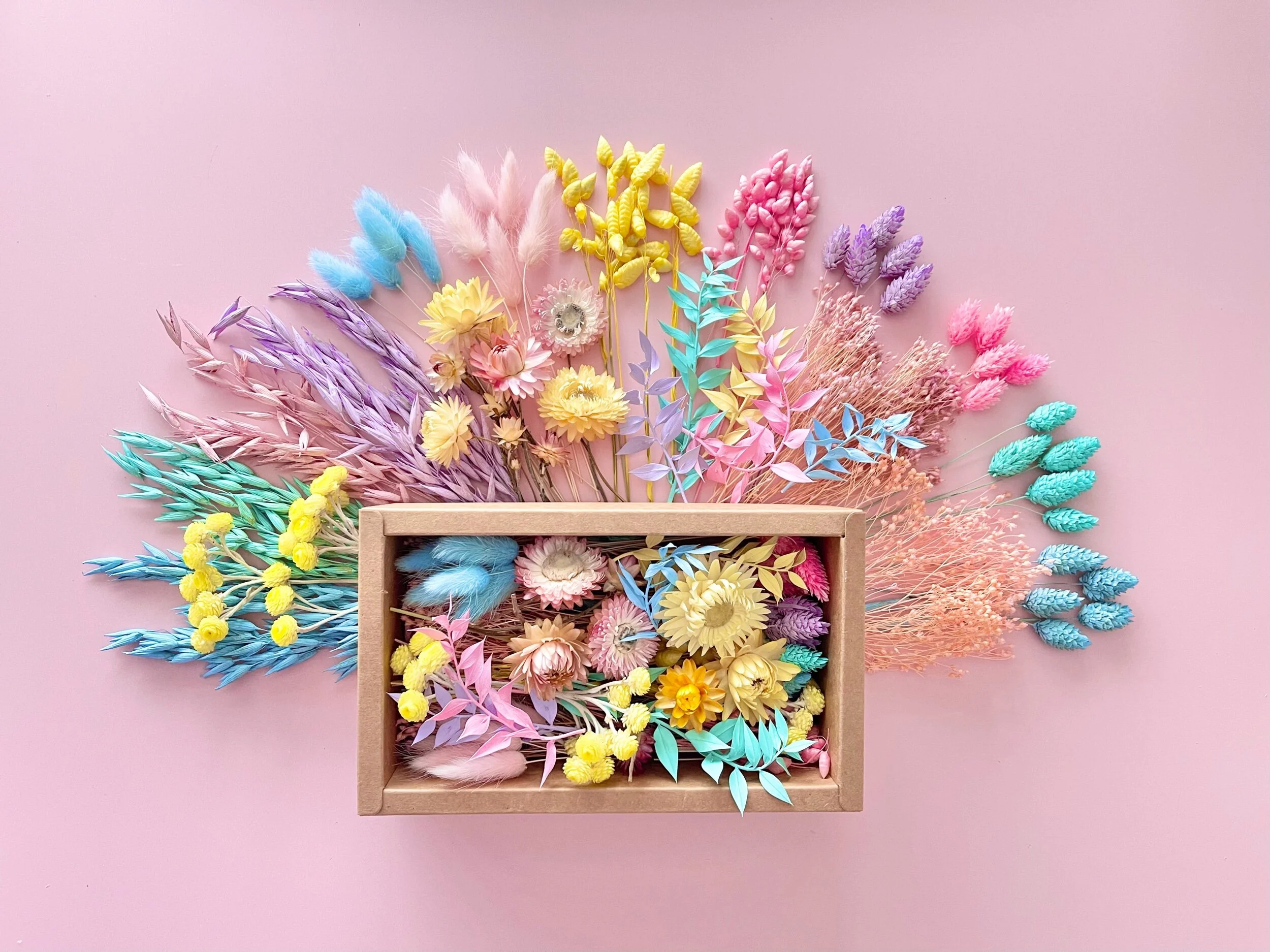 F5F27B26-366C-46B0-A55F-D8A24C714A03