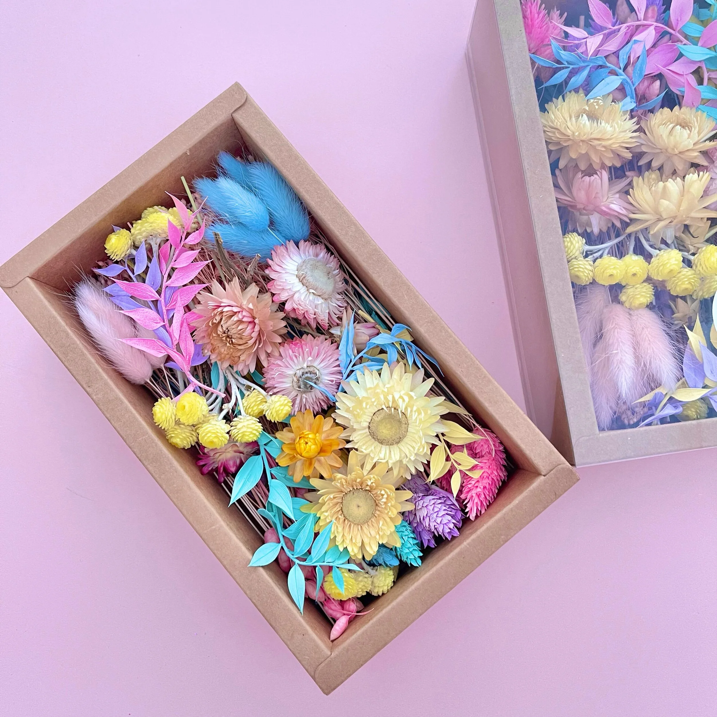 E1F03CBF-2CEF-46AF-9DF9-A90DA2404E77