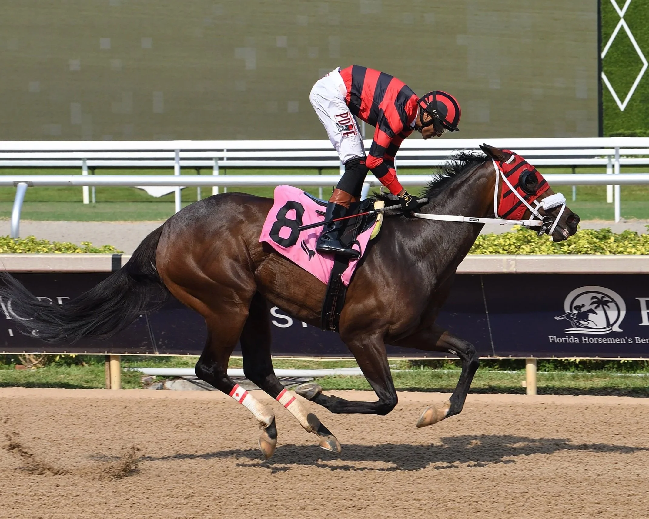 Winplaceandshow