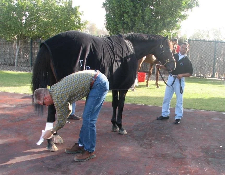  At the Dubai World Cup with a terrific team - Todd Pletcher and Angel Cordero 
