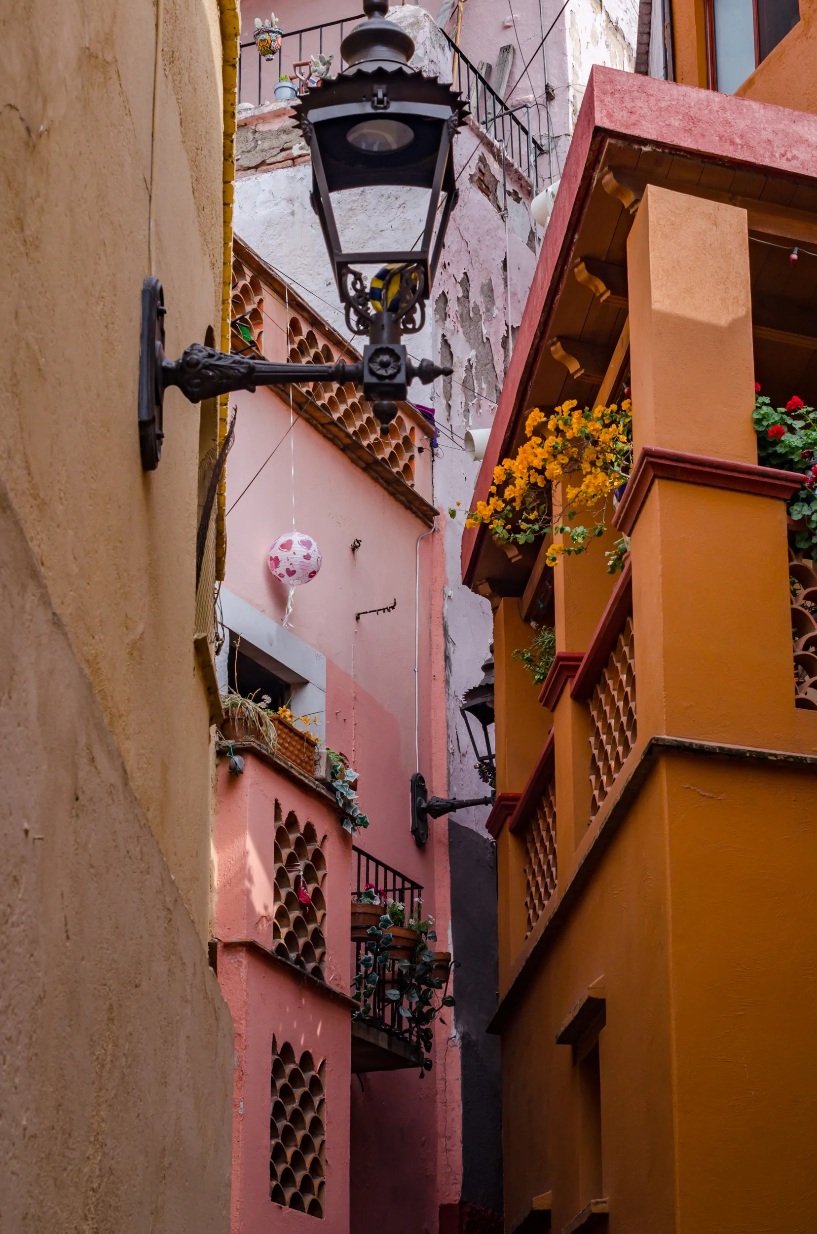 Images of Guanajuato - Nadine Burzler (76 of 175).jpg