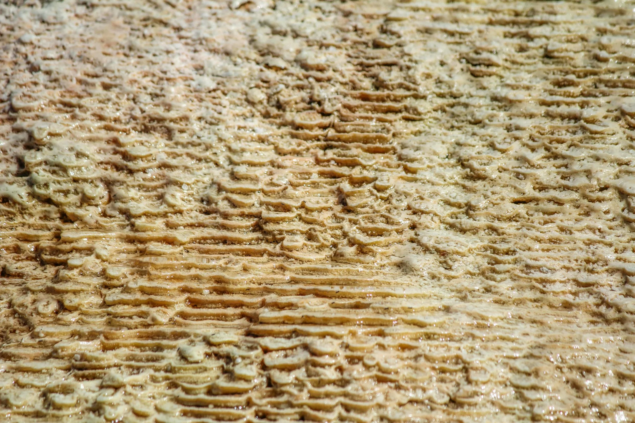 Macro Photography of Cascading Water