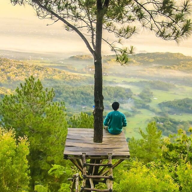 Enquanto n&atilde;o podemos viajar para conhecer novos cen&aacute;rios, te convidamos para estar presente, cuidar e contemplar a natureza que tens ao seu redor, acreditamos que essa troca ser&aacute; positiva para voc&ecirc;. 
Se prestar aten&ccedil;