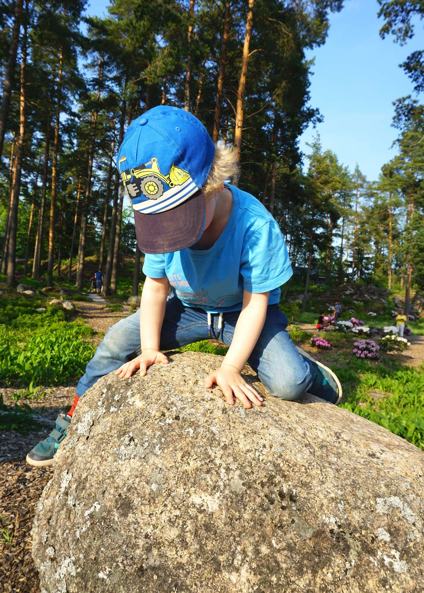 ek-raision-alppiruusupuisto-kiipeily.jpg