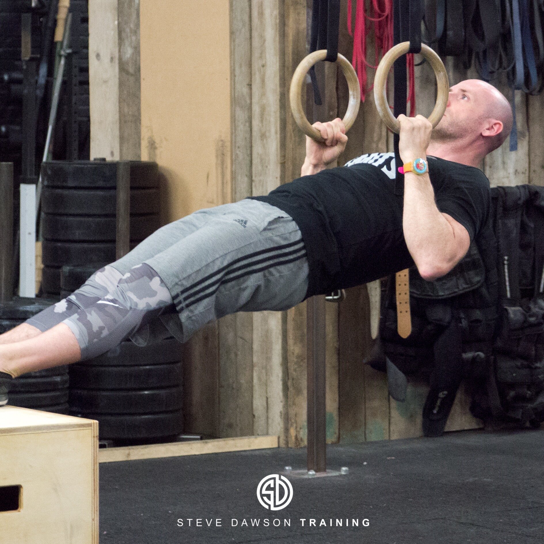Elevated Ring Rows