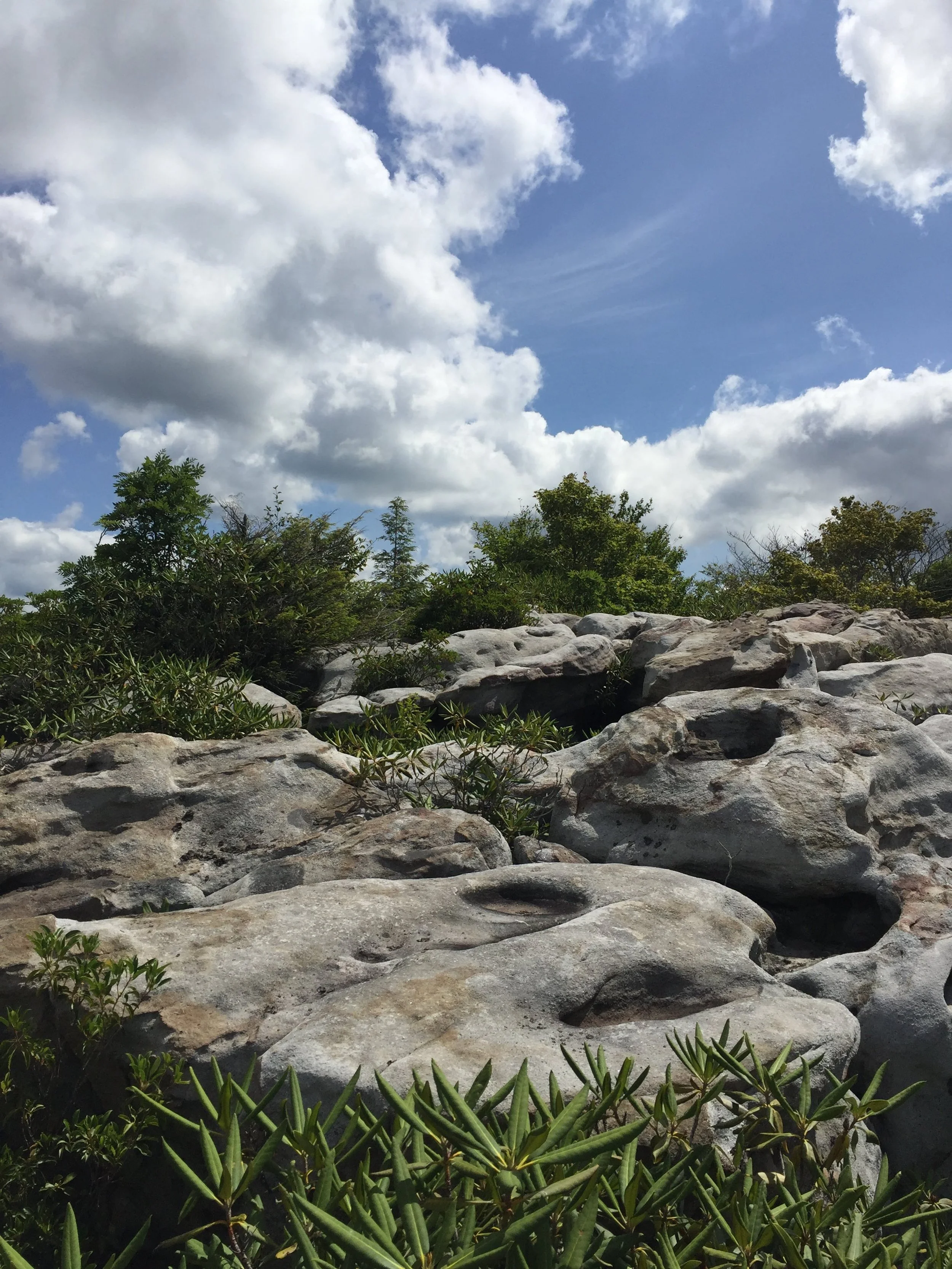 Move Like the Mountains Yoga Retreat