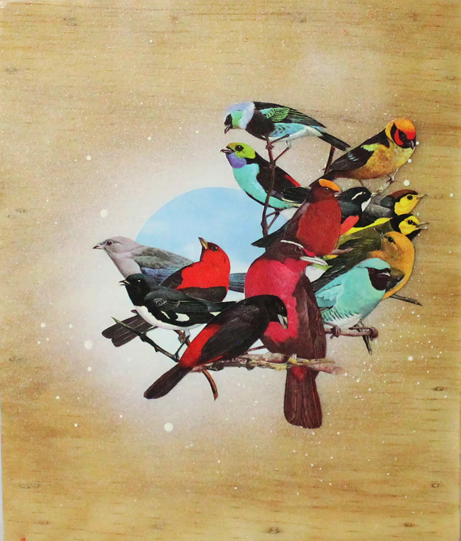 Mostly Tanagers