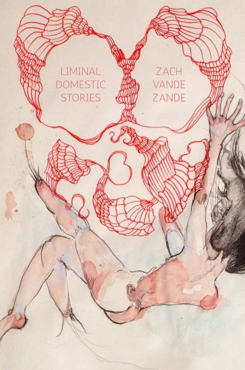 Liminal Domestic: Stories