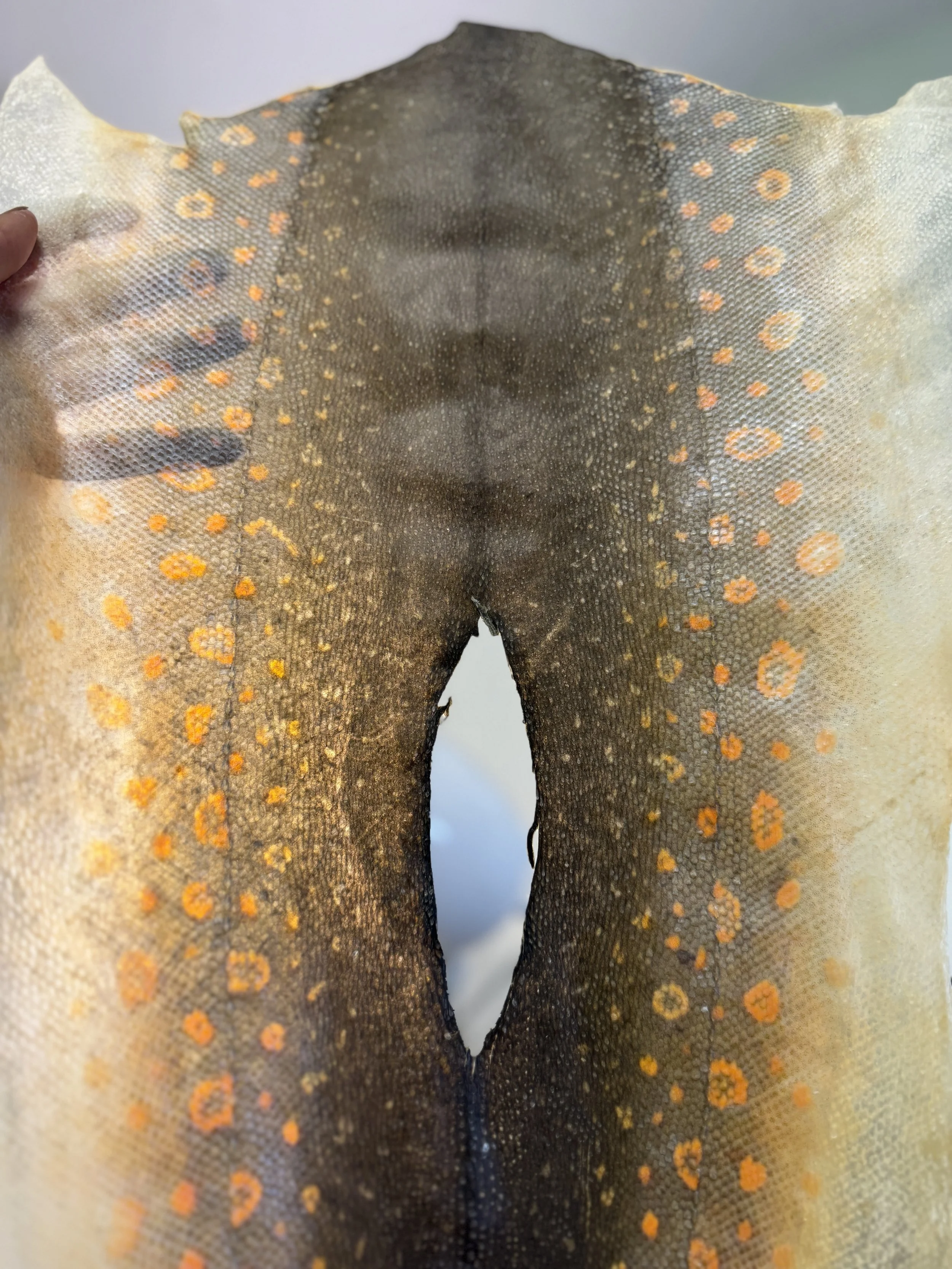 Fish Skin Tanning: The Next Level | April 11 + 12 + 18, 2026 @ 11AM PACIFIC TIME ZONE