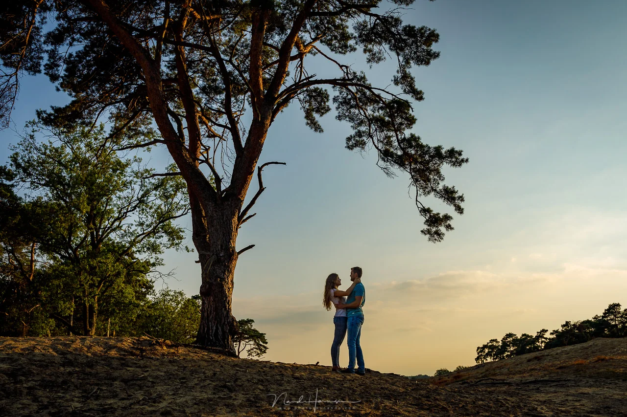 Loveshoots en Moment Design