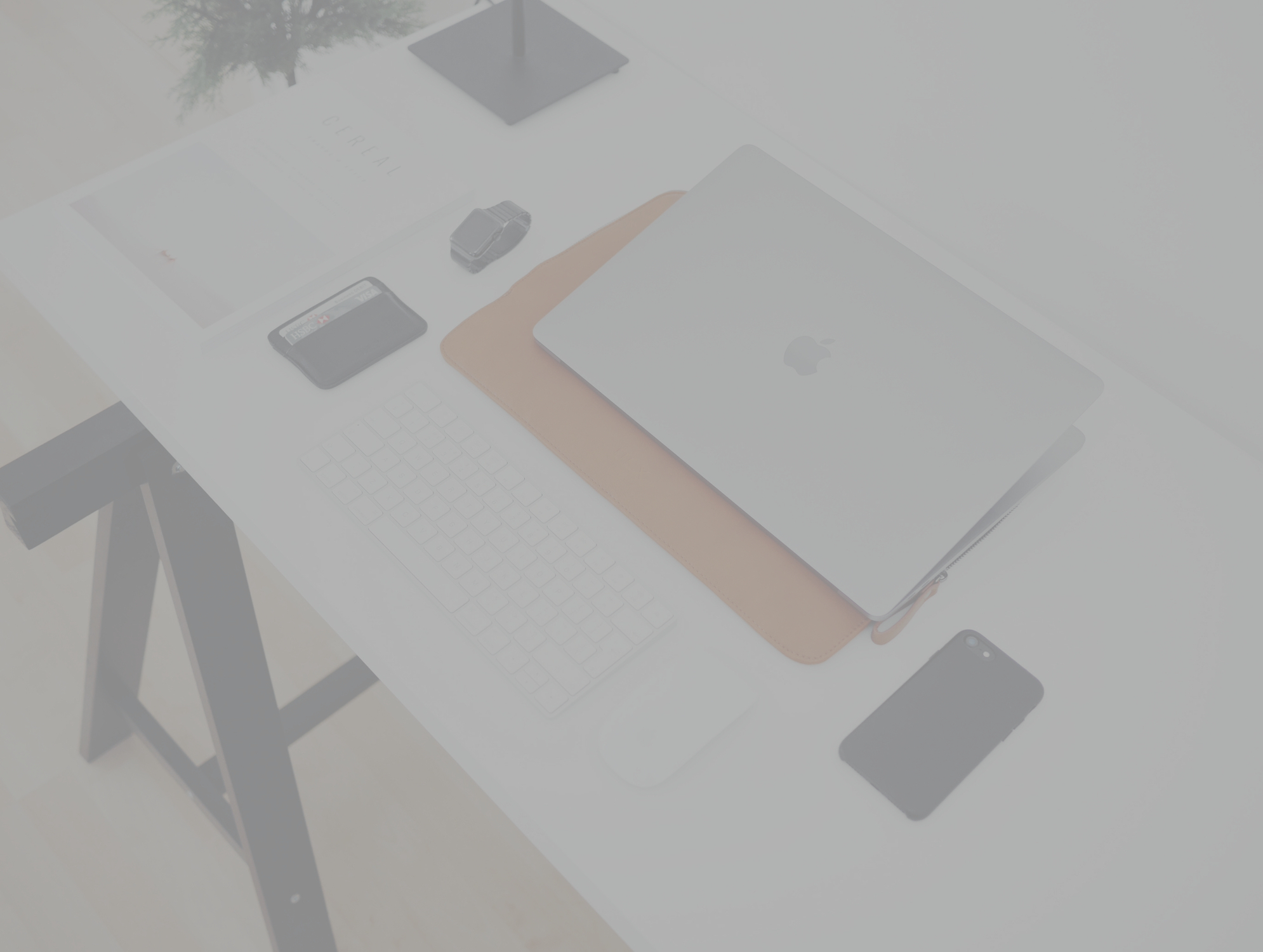 Banner image homepage (4).jpg