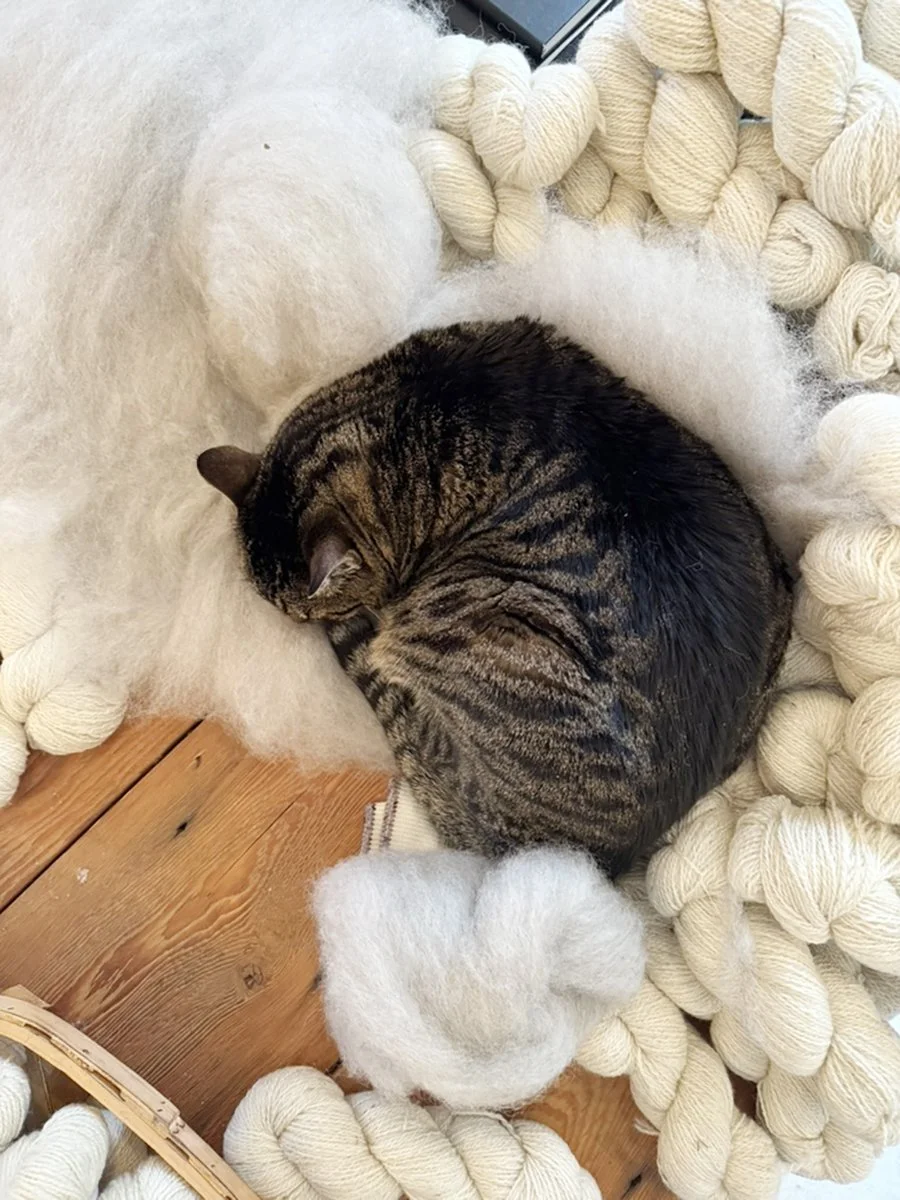 FIBRE for website 2.jpg