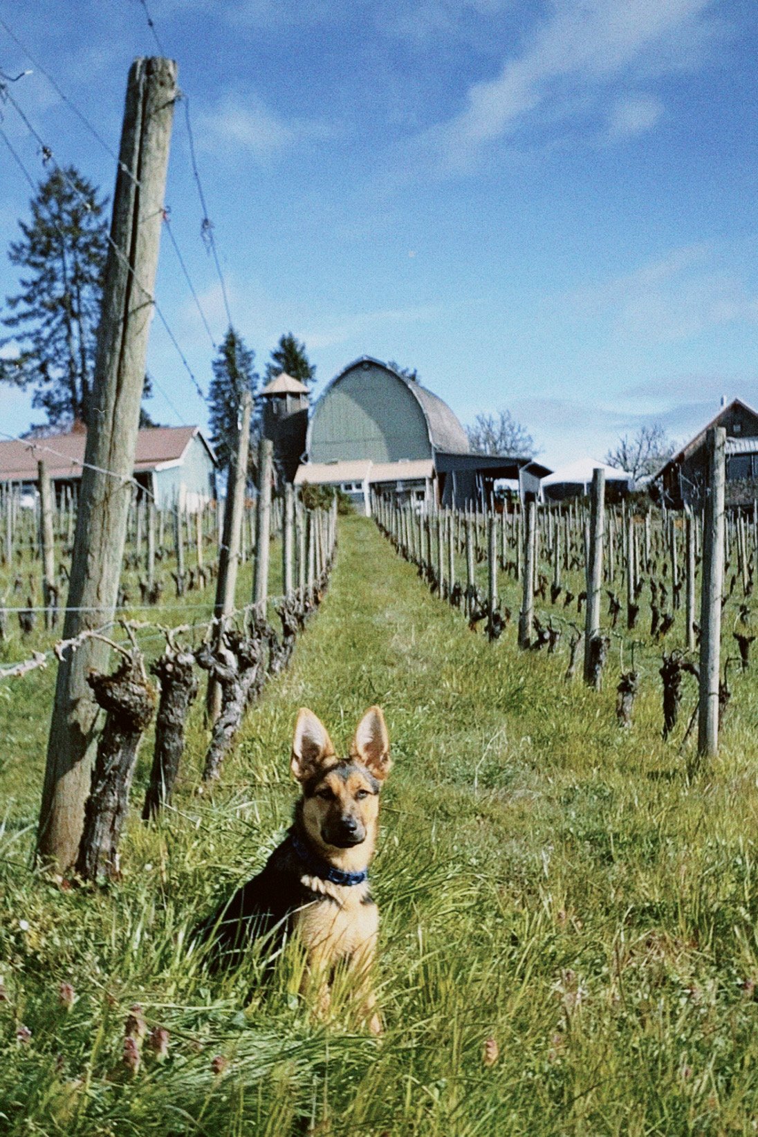 Shereen w Barn (4 months).JPG