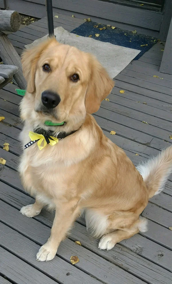 Cody, Office Morale Attendant