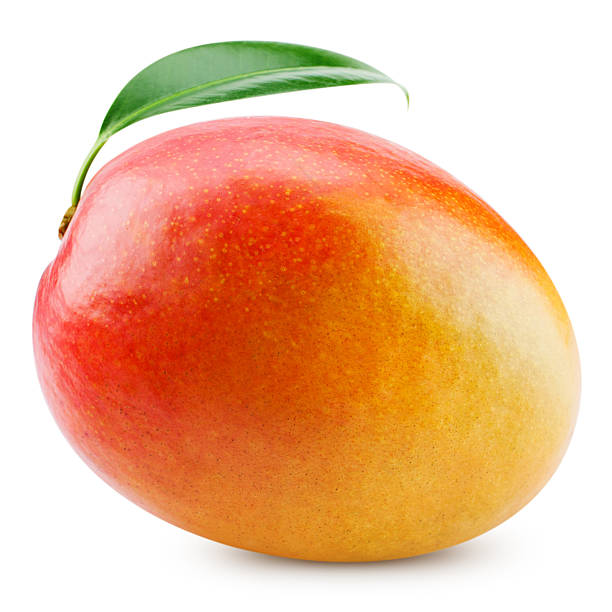 Mango2.jpg