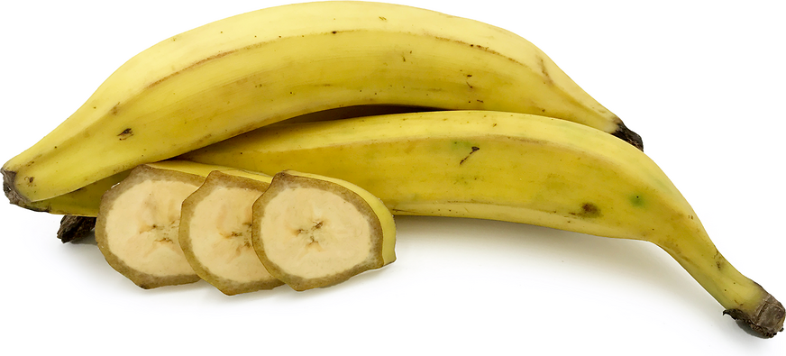 Plantain2.png