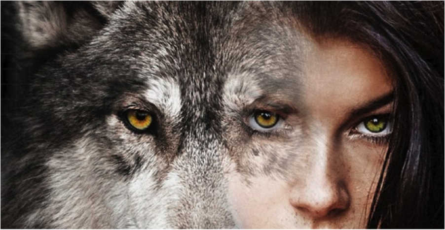 Women-Who-Run-with-Wolves.png